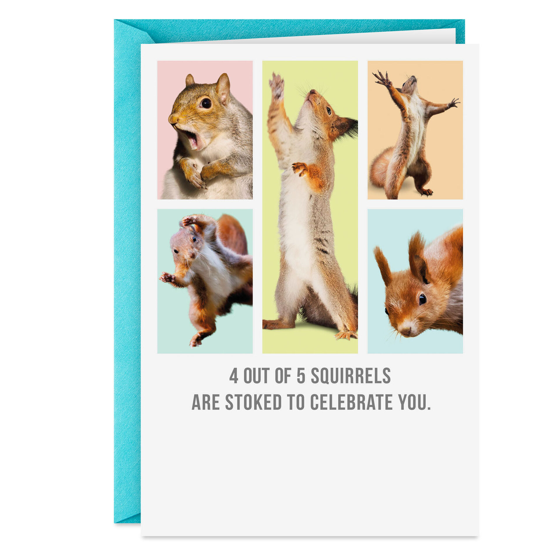 Celebrating-Squirrels-Funny-Card_369ZZB4098_01