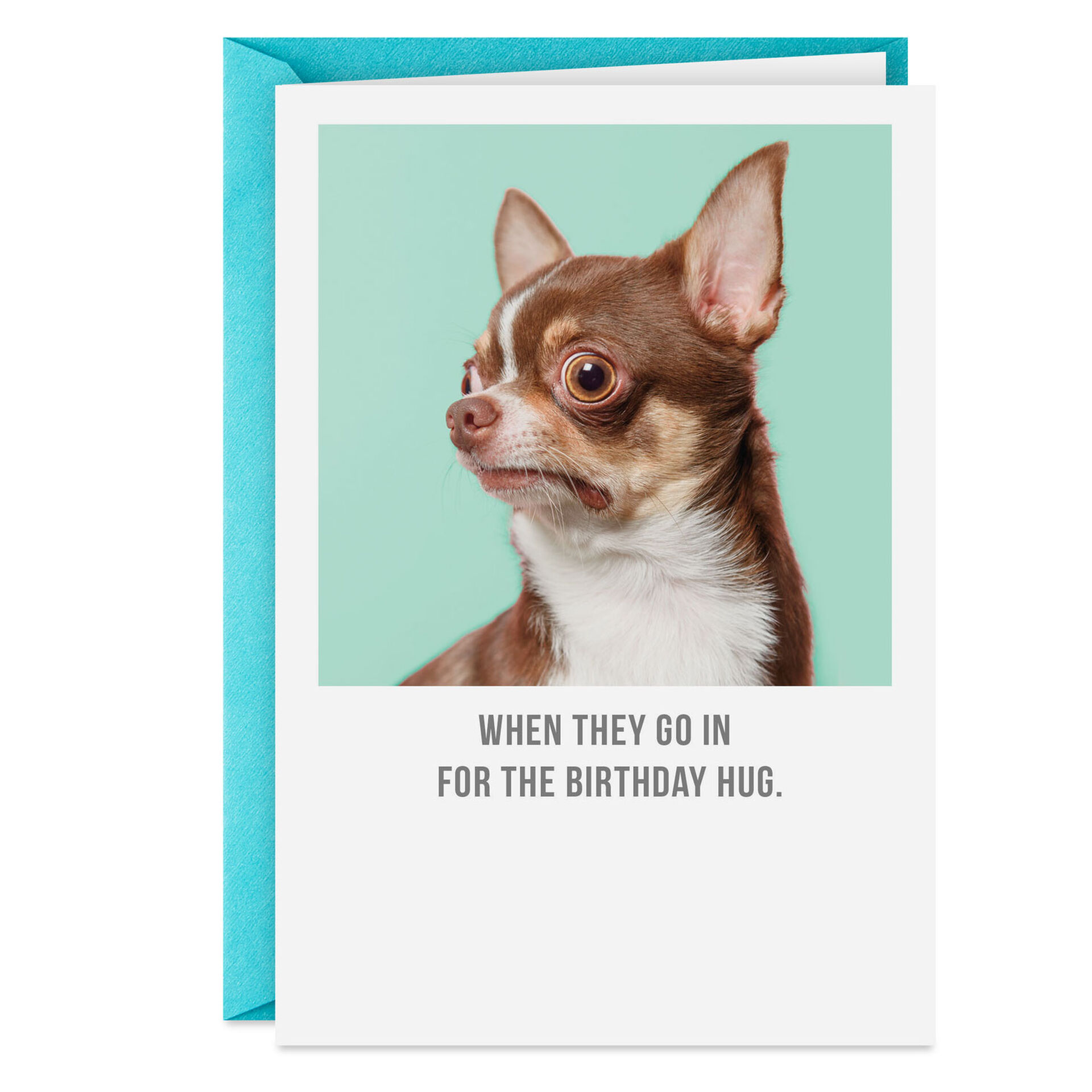 Chihuahua-Dog-With-Big-Eyes-Funny-Birthday-Card_369ZZB4096_01