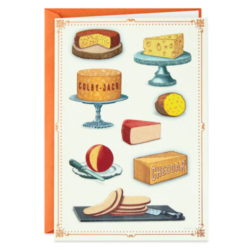 Collage-of-Cheeses-Funny-Birthday-Card_399ZZB2946_01