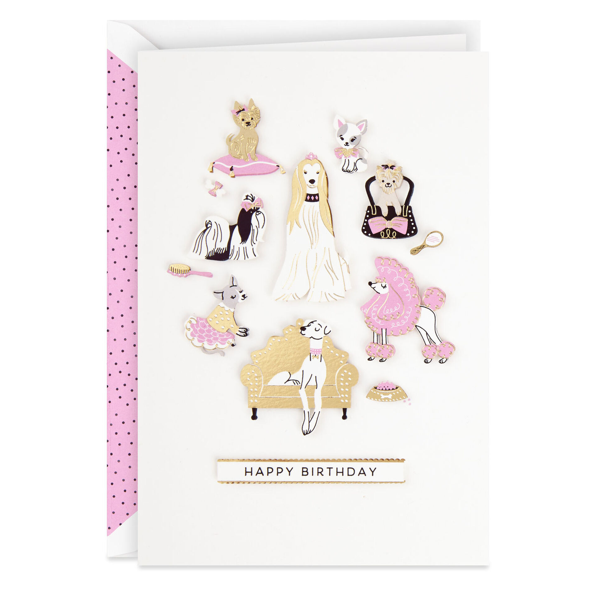 Cool-Bitch-DressedUp-Dogs-Birthday-Card-for-Her_699LAD9692_01