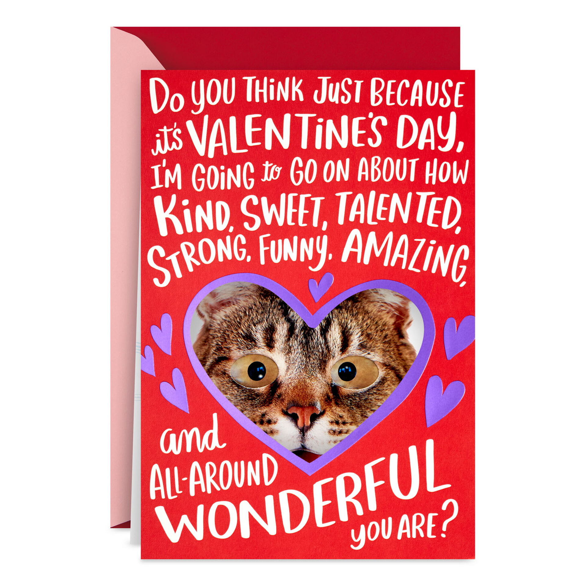 Cute-Cat-in-Heart-Funny-Valentines-Day-Card_599VEE7846_01