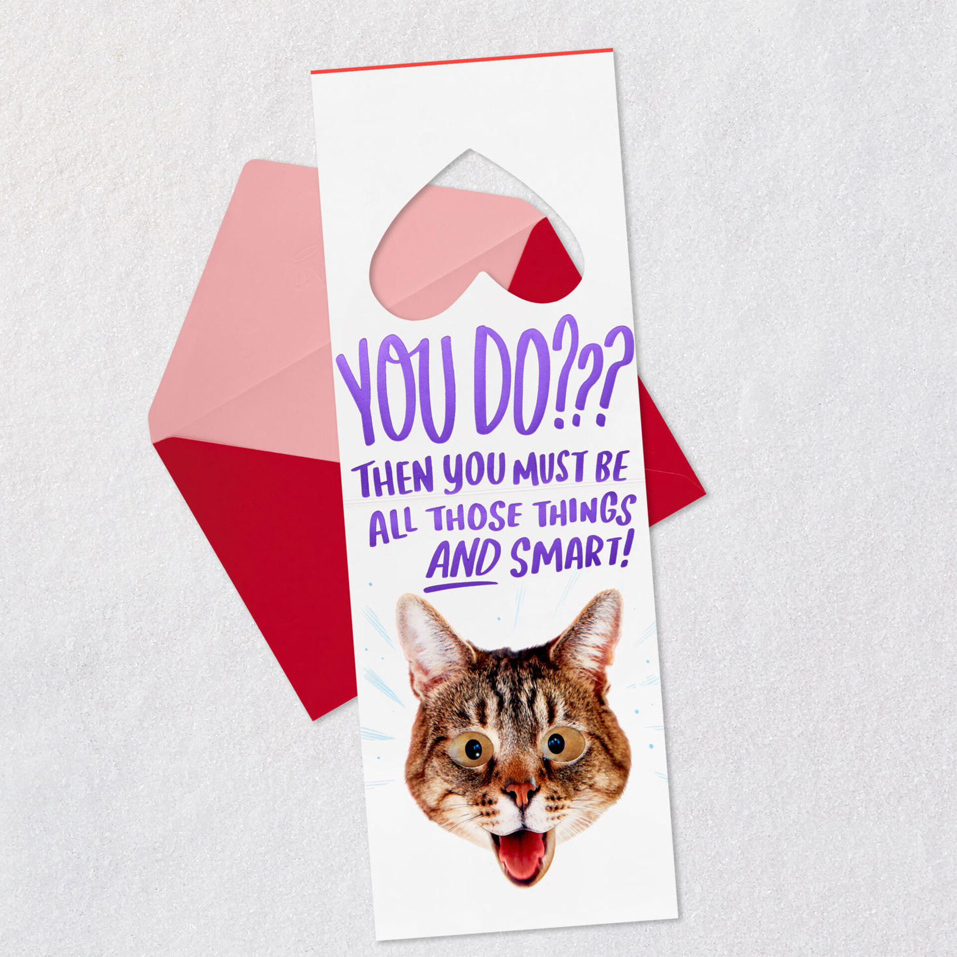 Cute-Cat-in-Heart-Funny-Valentines-Day-Card_599VEE7846_03