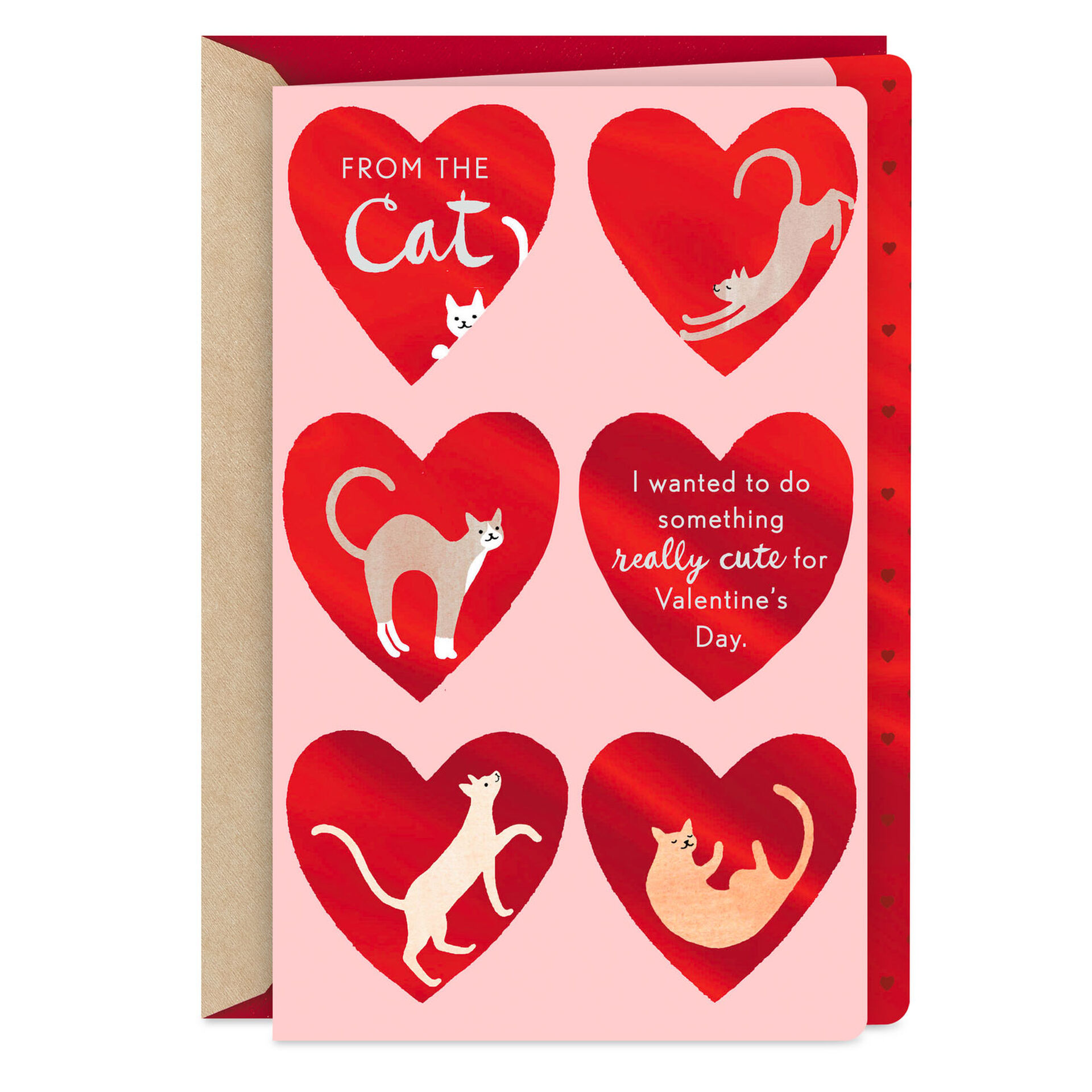 Cute-Cats-in-Hearts-Valentines-Day-Card-from-Cat_299VEE1957_01