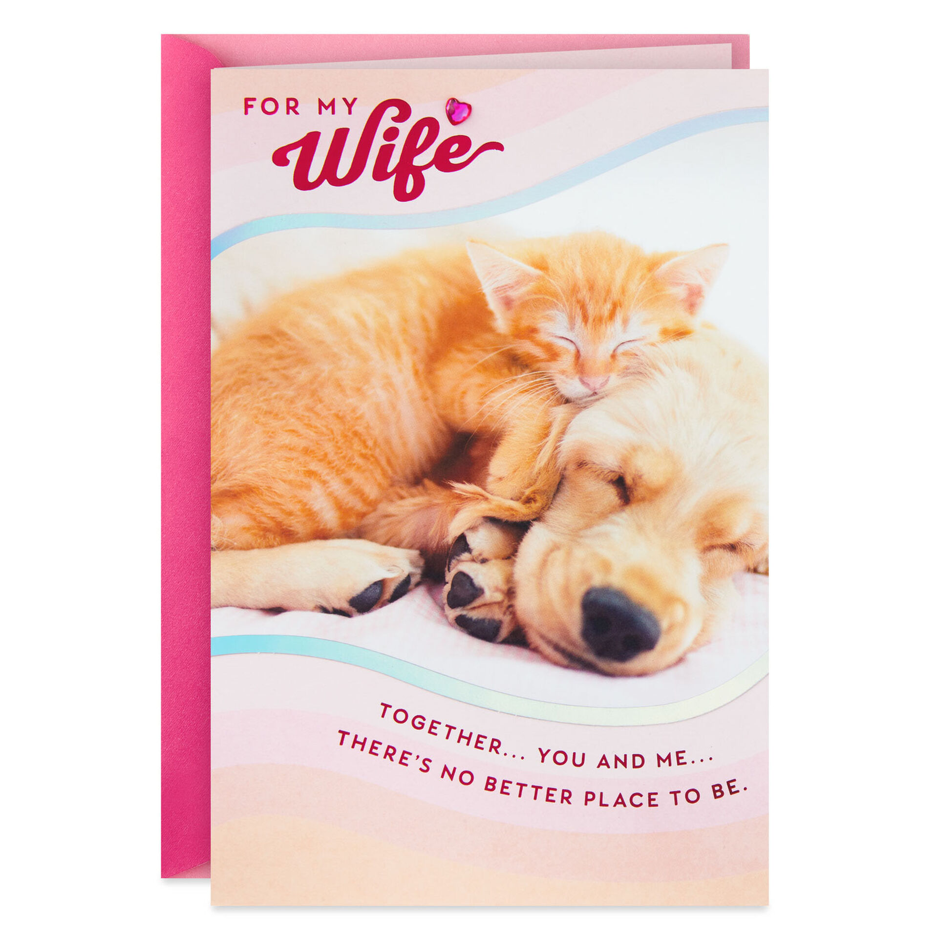 Cute-Dog-and-Cat-Valentines-Day-Card-for-Wife_659V4879_01