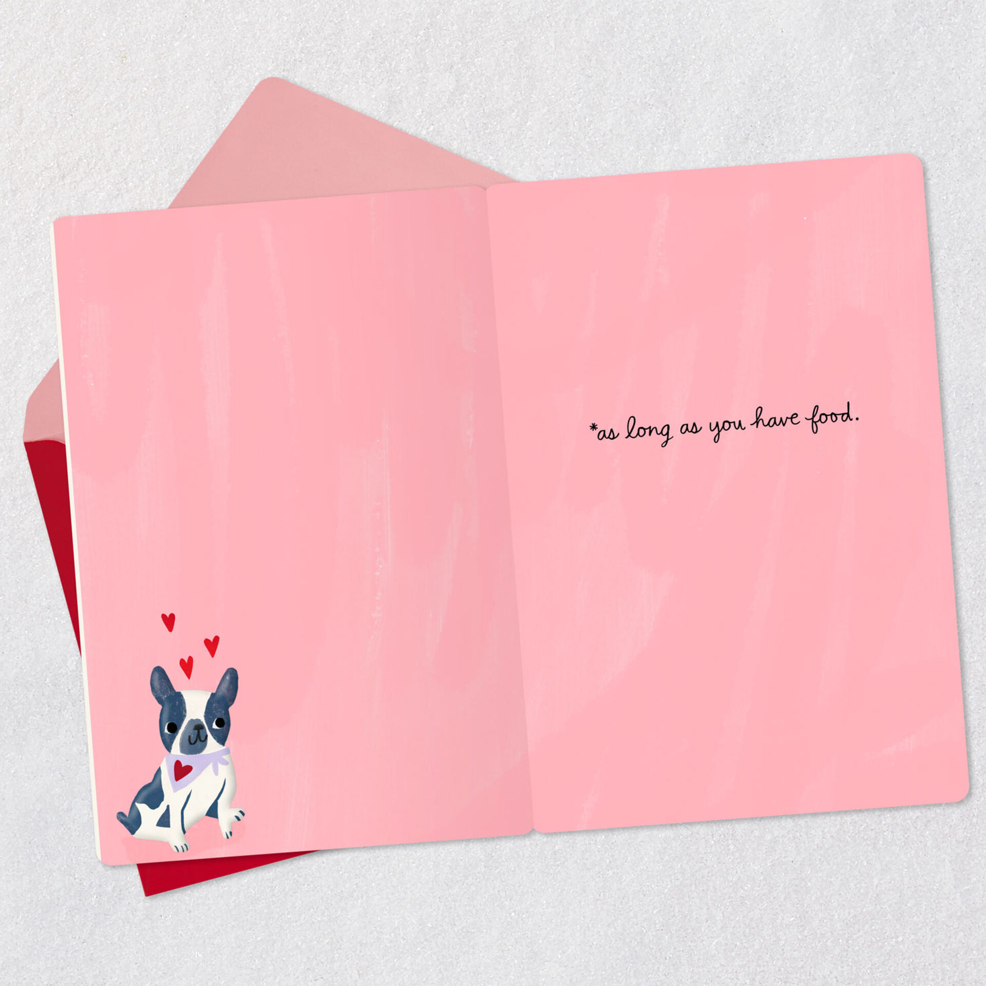 Cute-Puppy-Funny-Valentines-Day-Card-From-the-Dog_299VEE1959_03