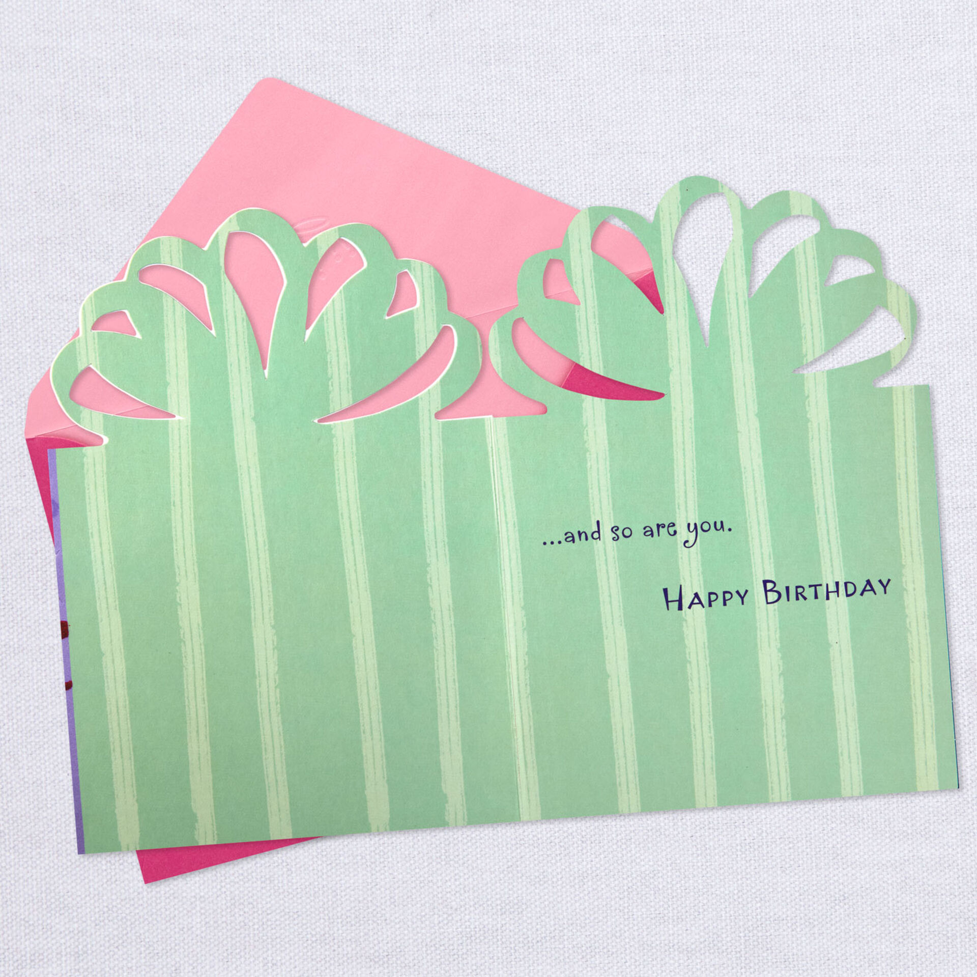 DieCut-Present-With-Fuzzy-Bow-Birthday-Card_799HBD3708_03