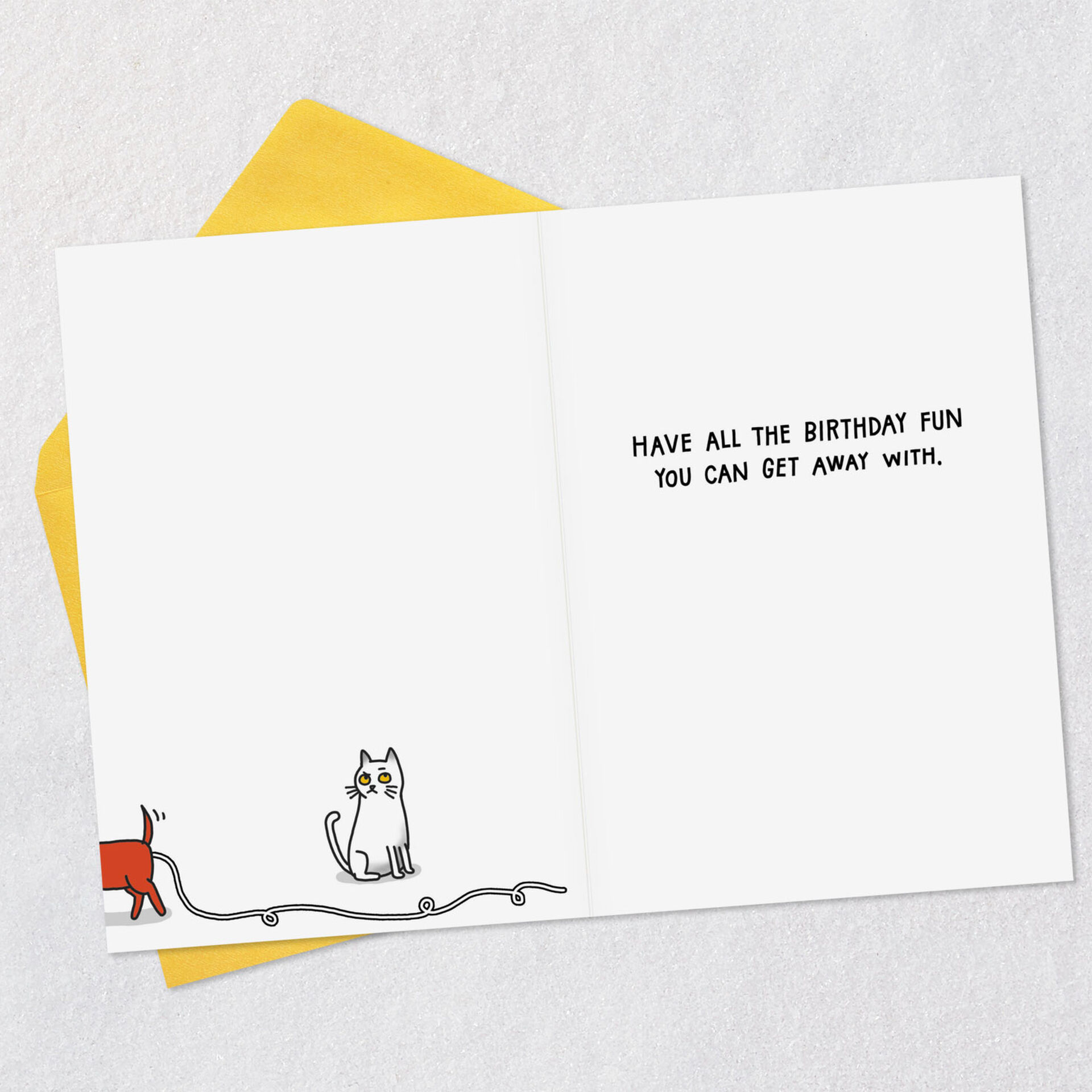 Dog-Cat-and-Yarn-Ball-Funny-Birthday-Card_369ZZB9339_03