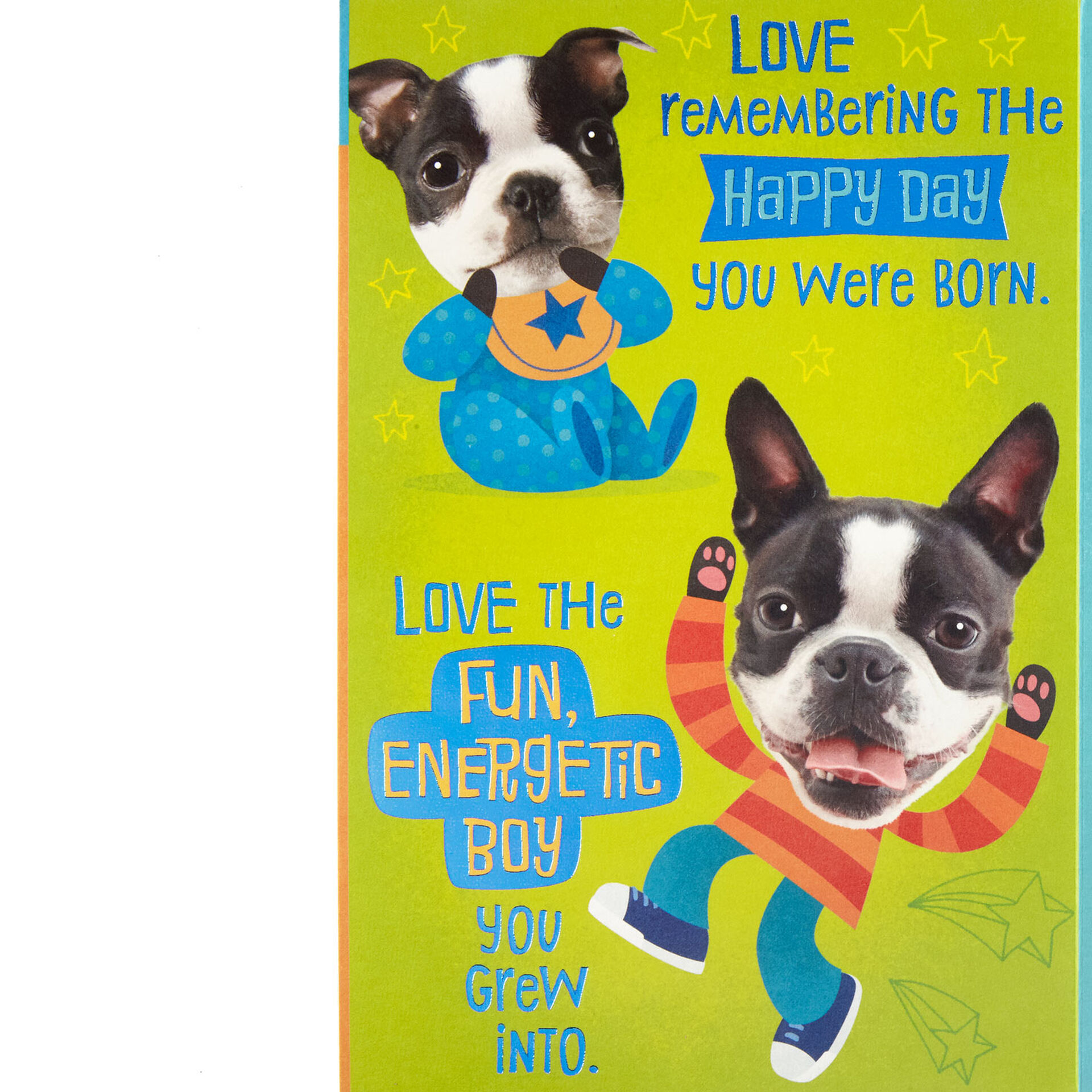 Dog-PopUp-13th-Birthday-Card-for-Grandson_399HKB5854_02
