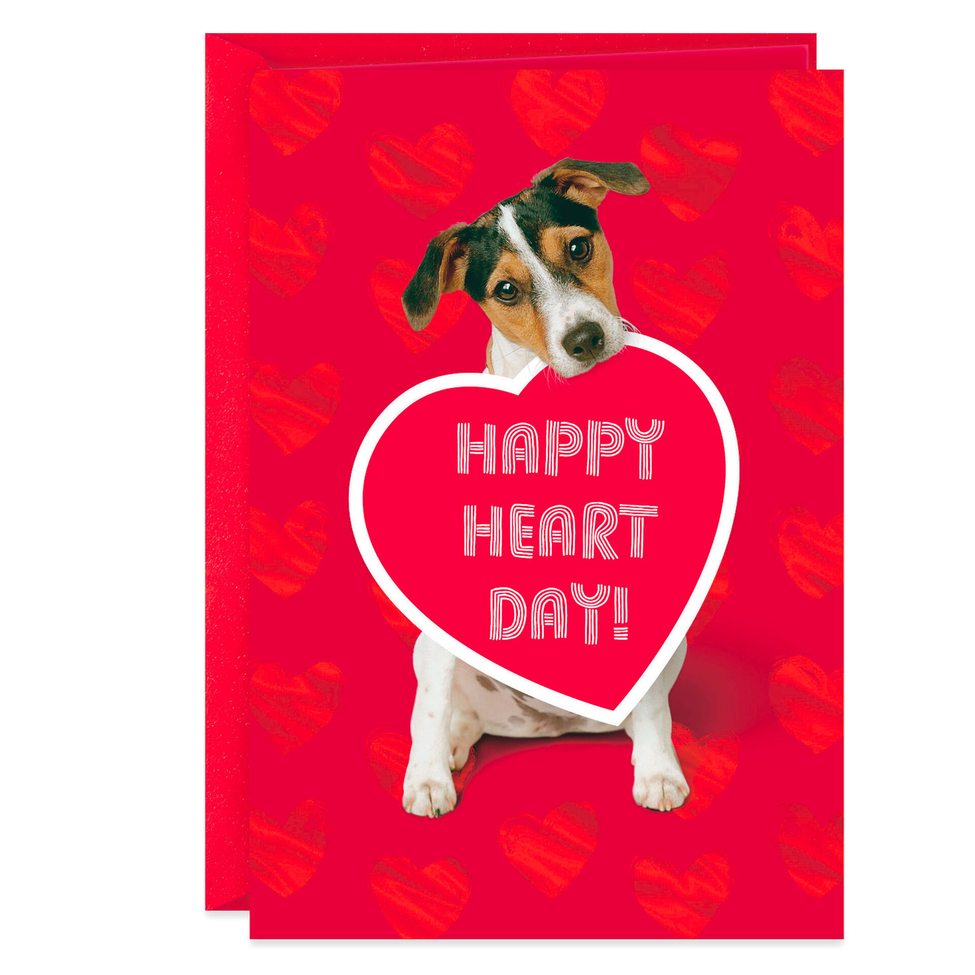Dog-With-Heart-Valentines-Day-Card_200VV1032_01