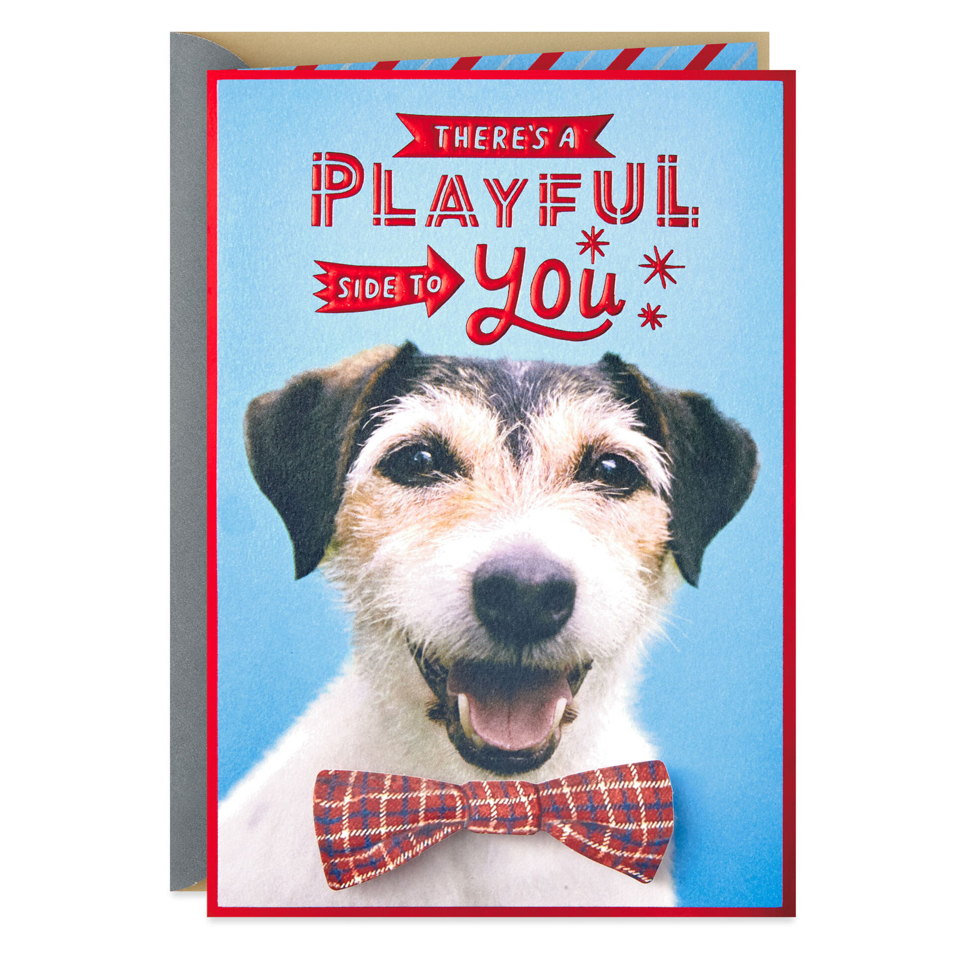 Dog-in-Bow-Tie-Birthday-Card-for-Him_629HBD3562_01