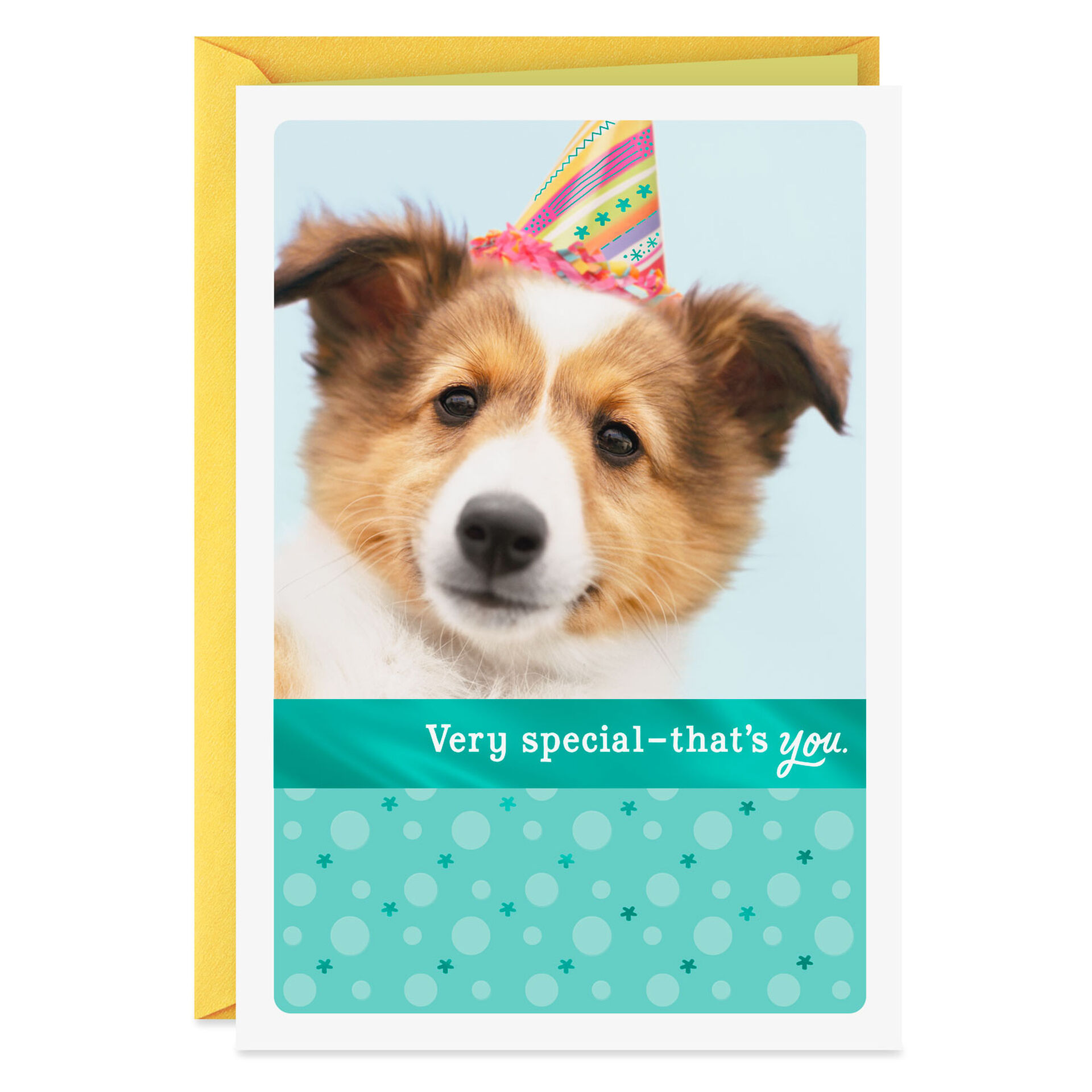 Dog-in-Party-Hat-Birthday-Card_200SUV1332_01
