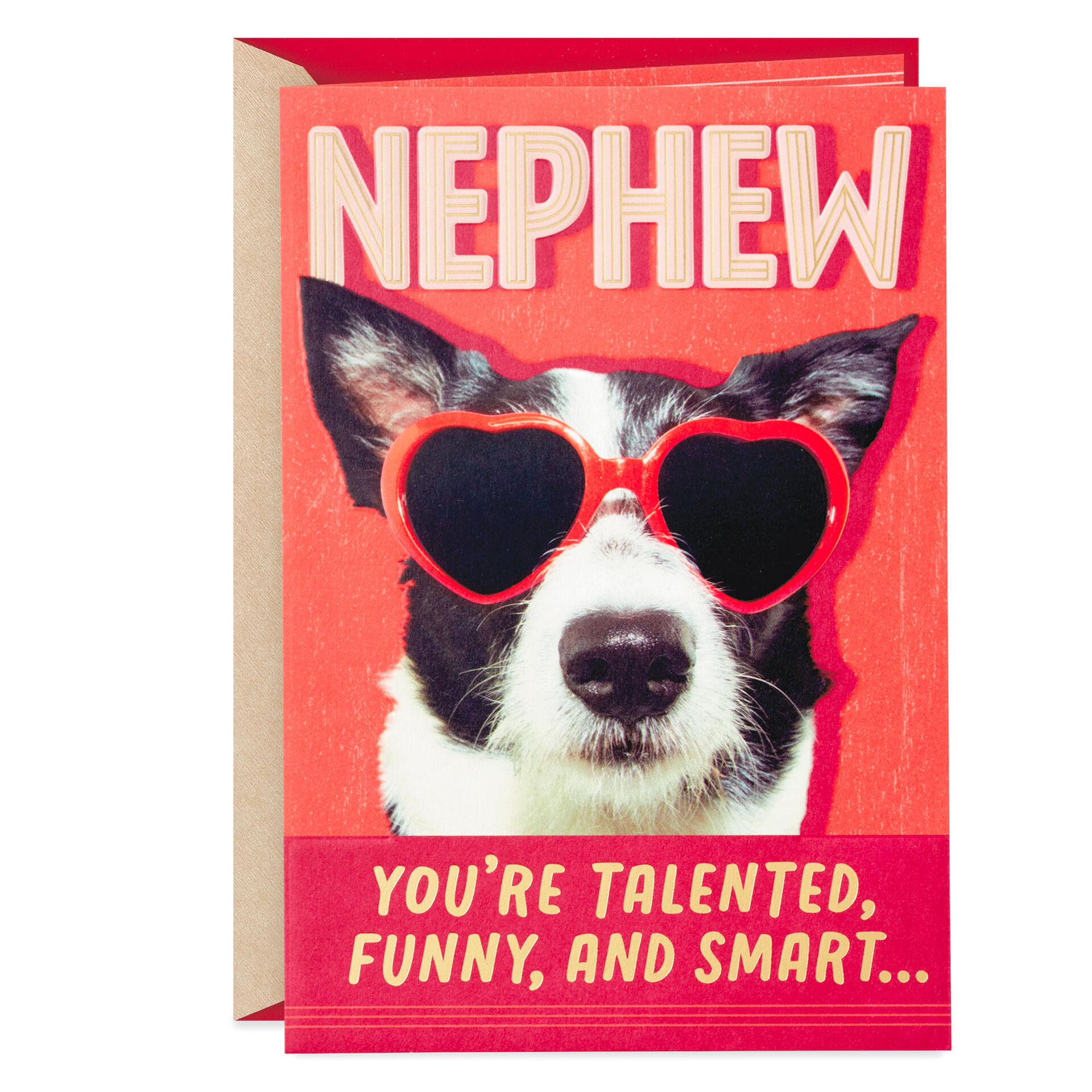 Dog-in-Sunglasses-Funny-Valentines-Day-Card-for-Nephew_299VEE8783_01