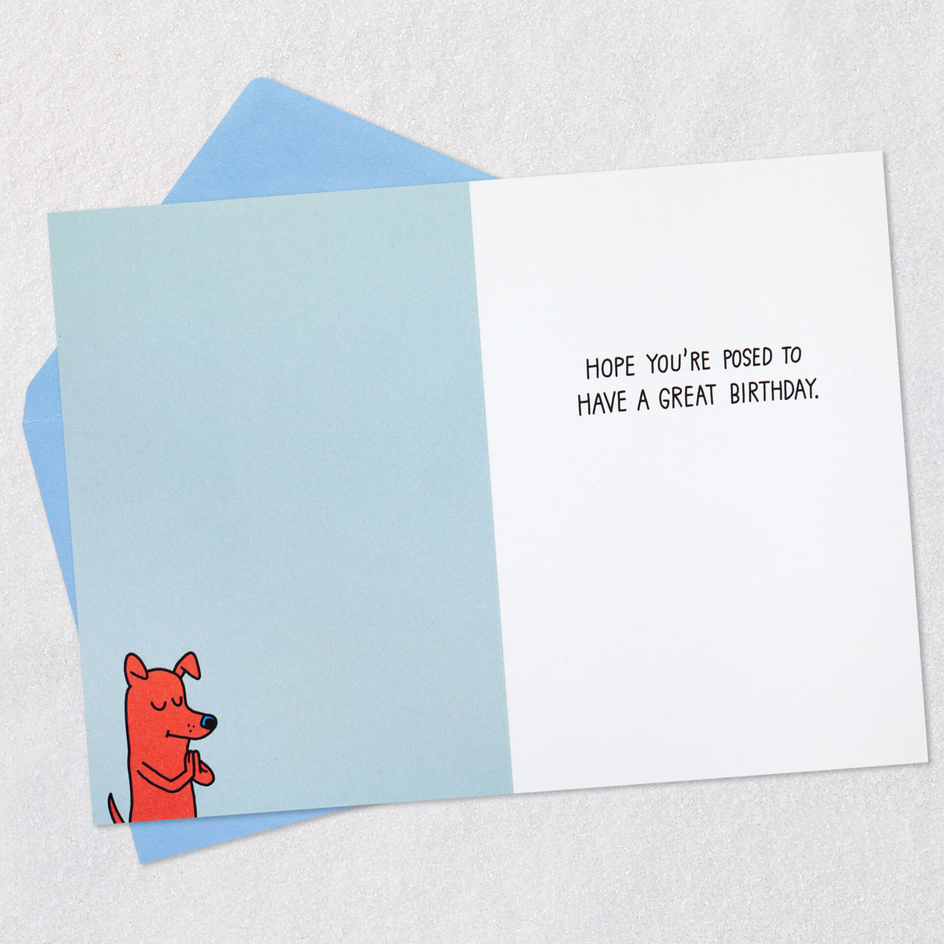 Dogs-Doing-Yoga-Poses-Pun-Funny-Birthday-Card_399ZZB7955_03