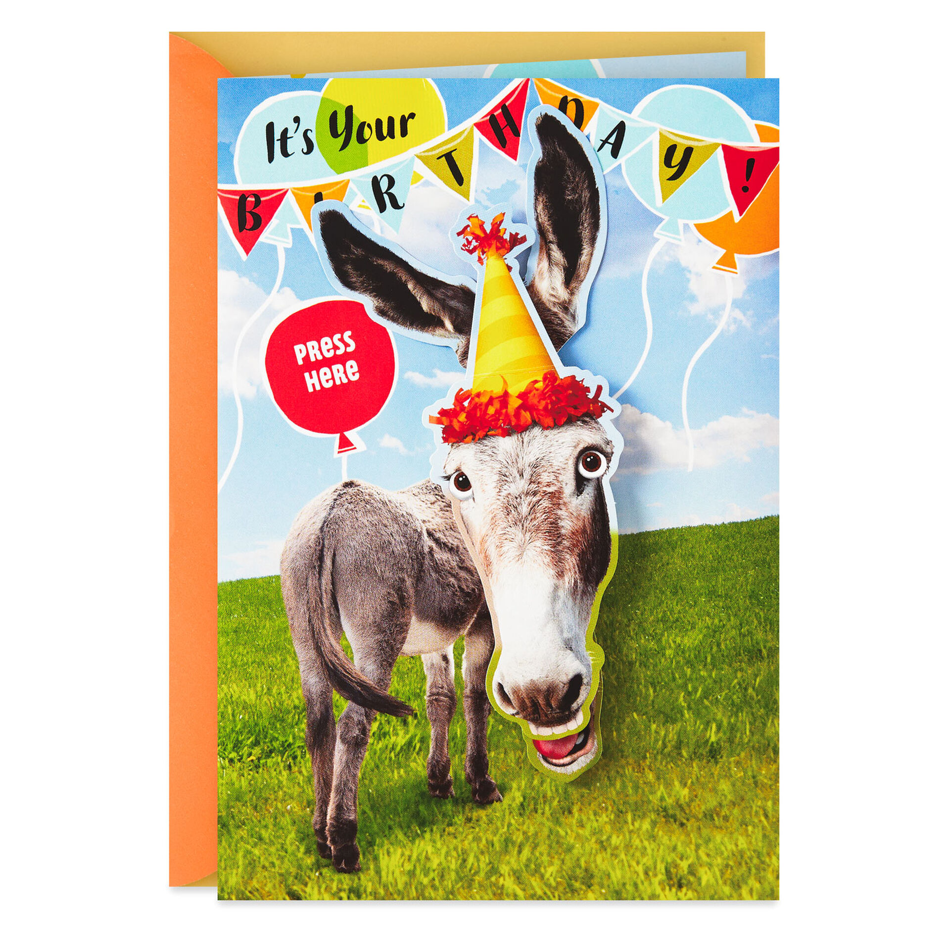 Donkey-in-Party-Hat-Funny-Music-&-Motion-Birthday-Card_959ARH1467_01
