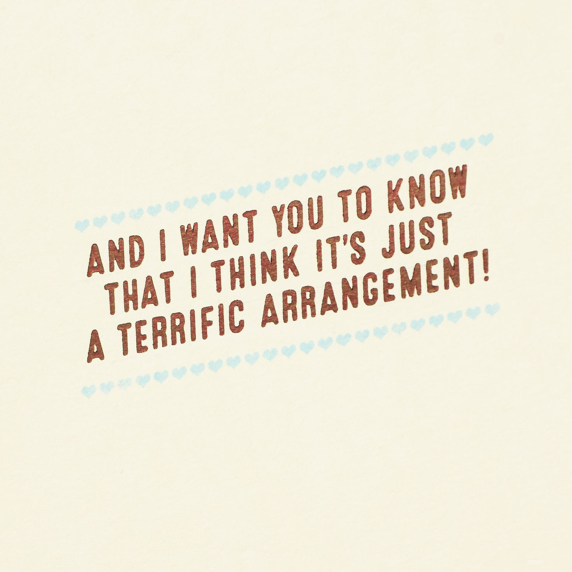 Dont-Say-Enough-Funny-Appreciation-Card_399ZZB3665_02