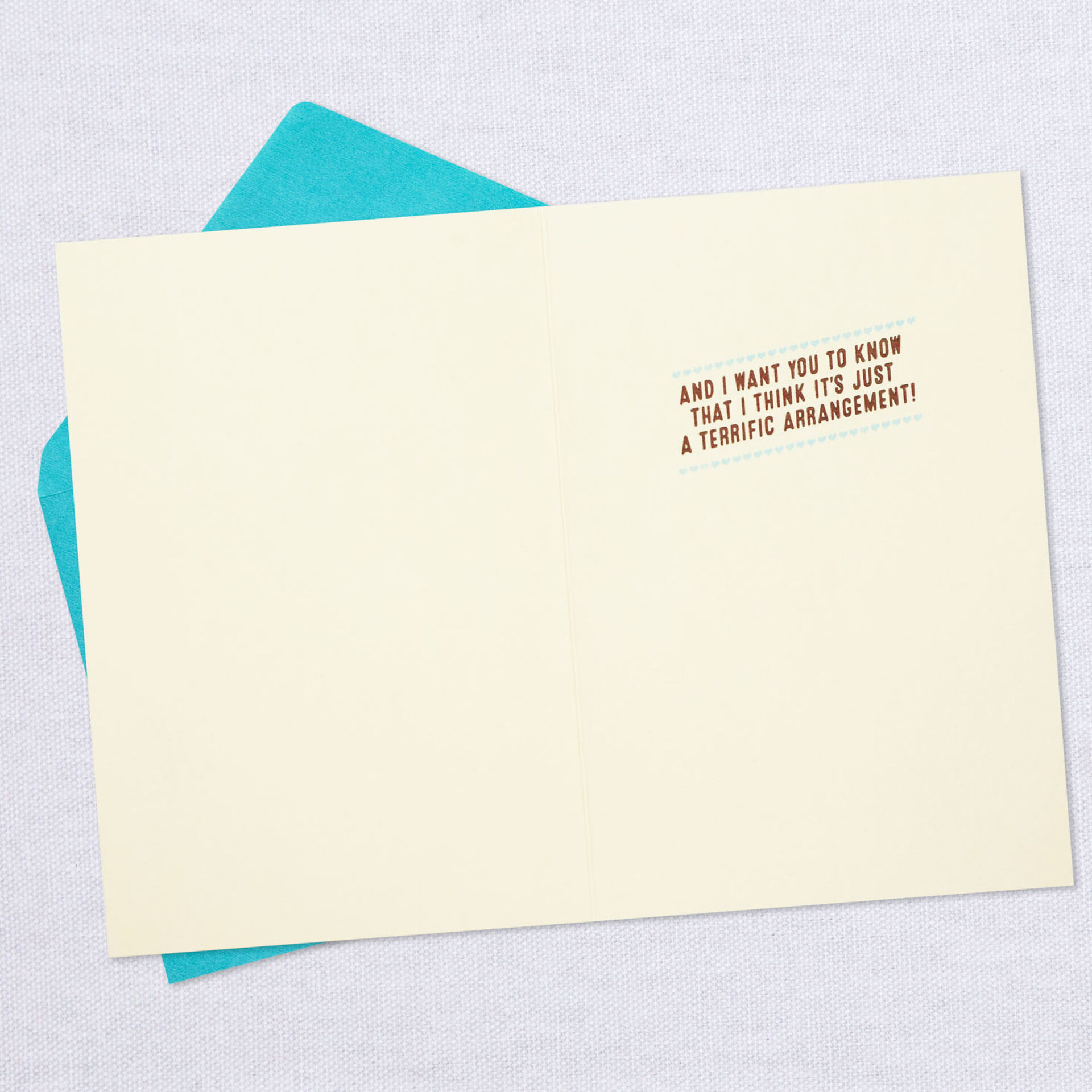 Dont-Say-Enough-Funny-Appreciation-Card_399ZZB3665_03