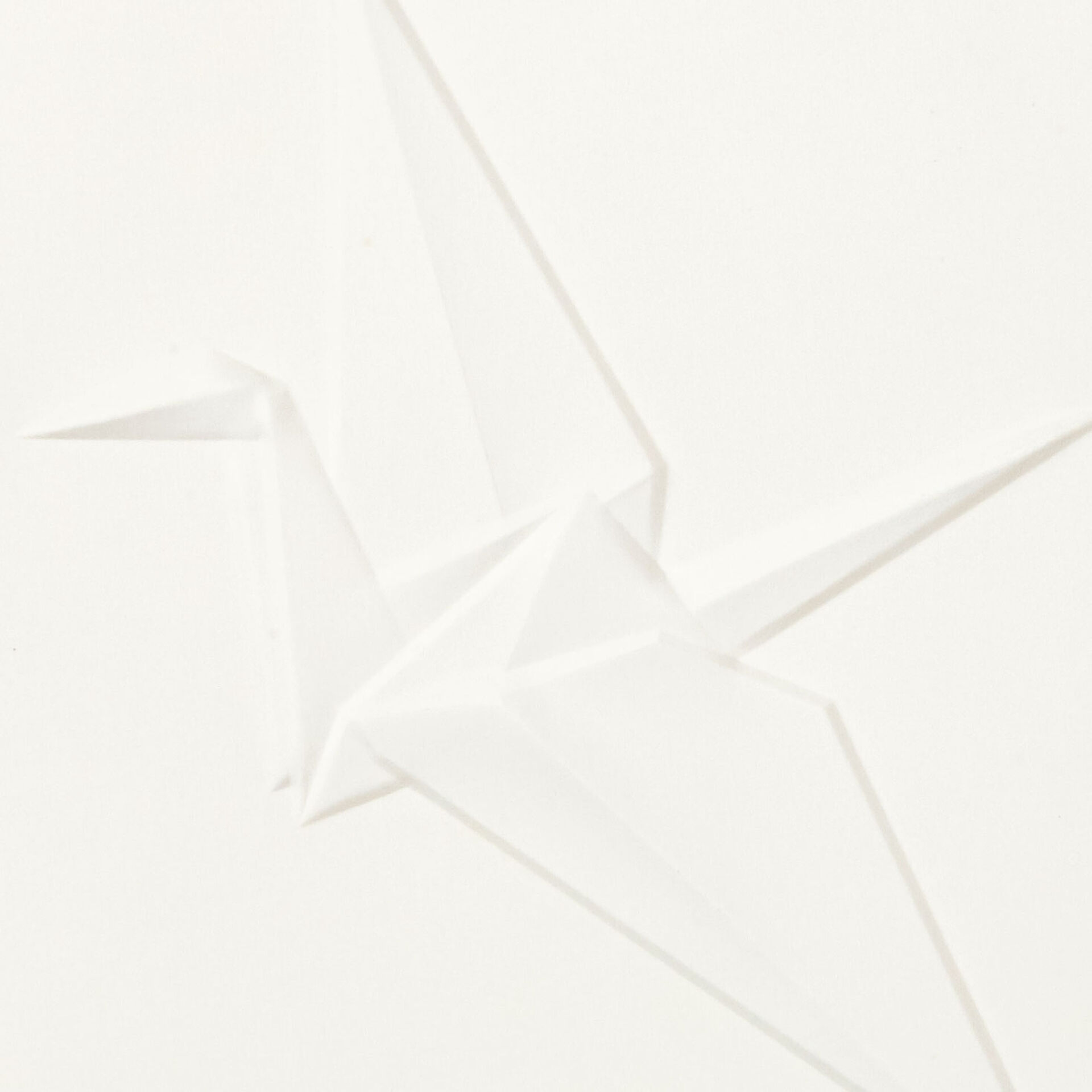 Embossed-Origami-Crane-Blank-Card_499LAD9604_03