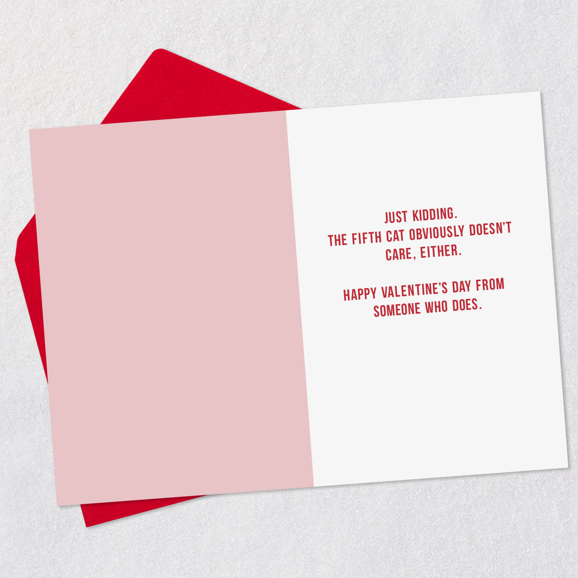 Five-Cats-Funny-Valentines-Day-Card_369ZV4016_03