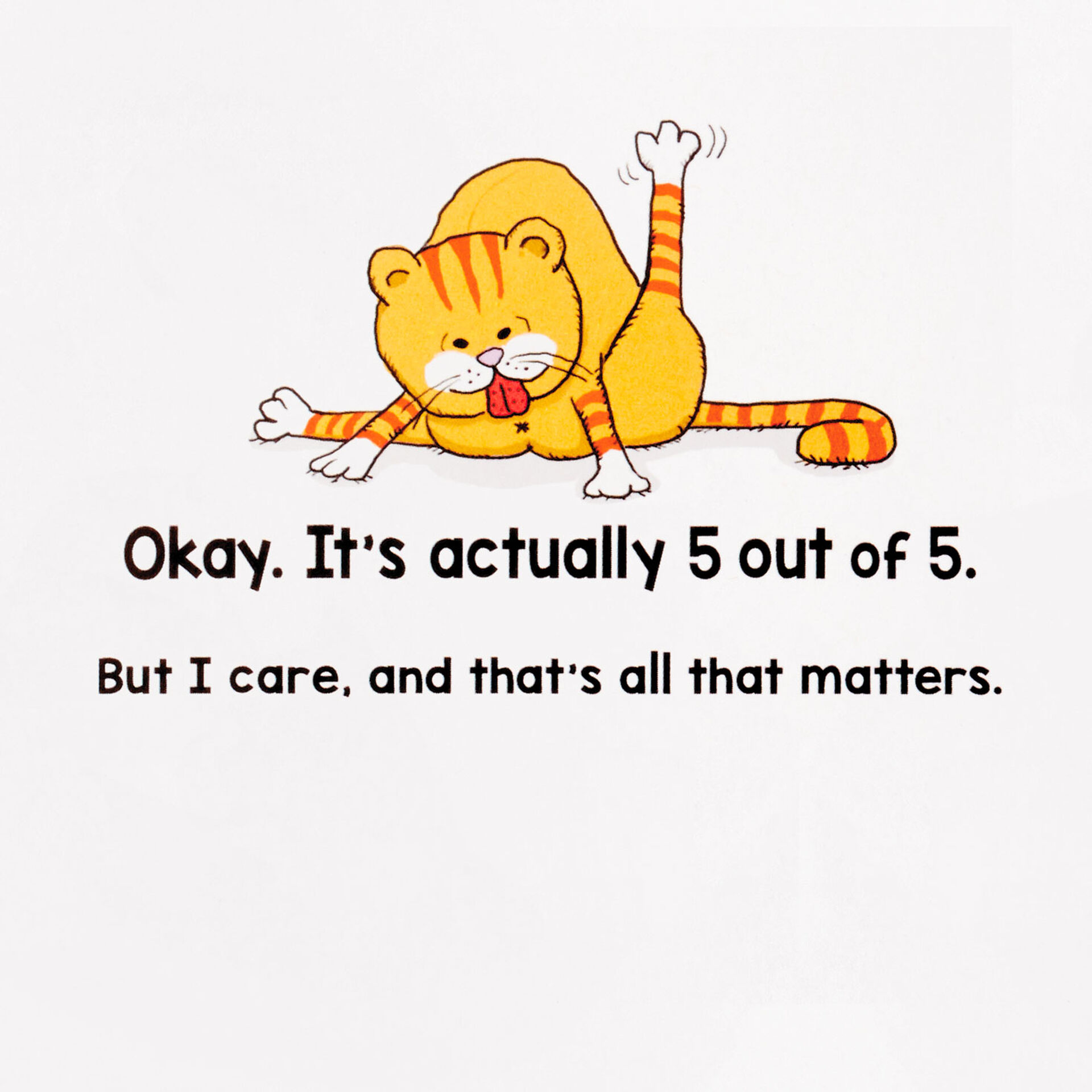 Five-Cats-Not-Caring-Funny-Birthday-Card_369ZZB9616_02