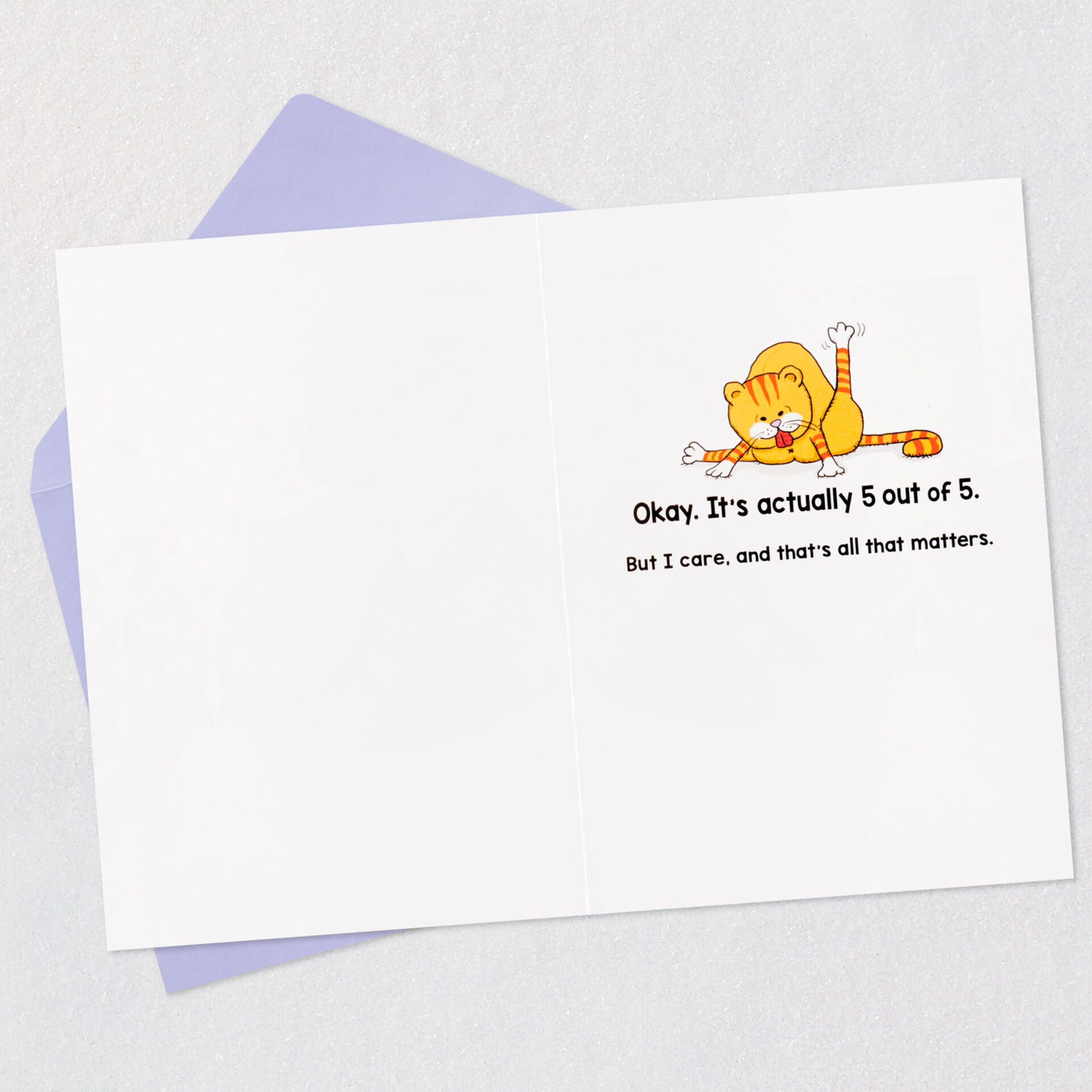 Five-Cats-Not-Caring-Funny-Birthday-Card_369ZZB9616_03