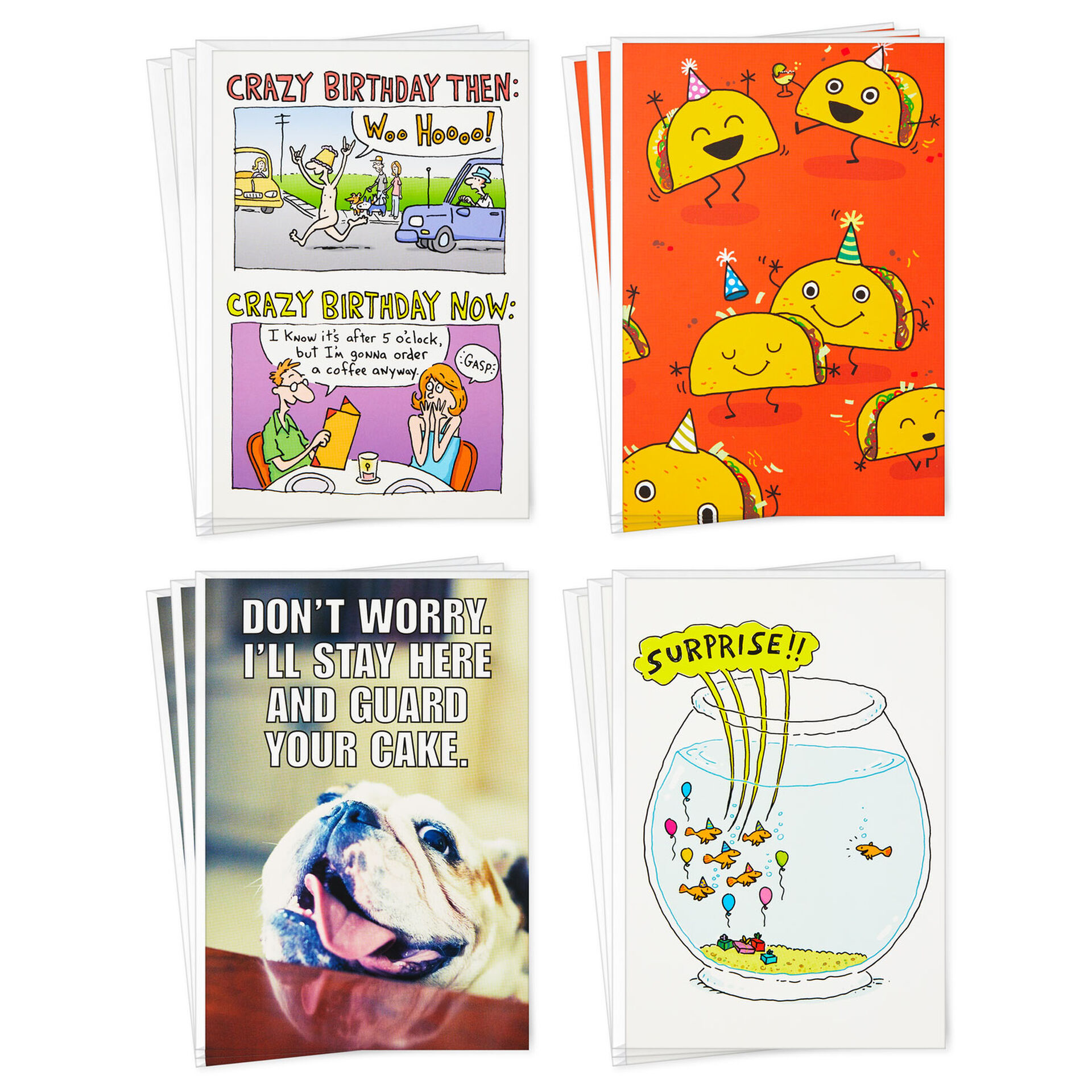 Funny-Assorted-Boxed-Blank-Birthday-Cards_5STZ1069_01