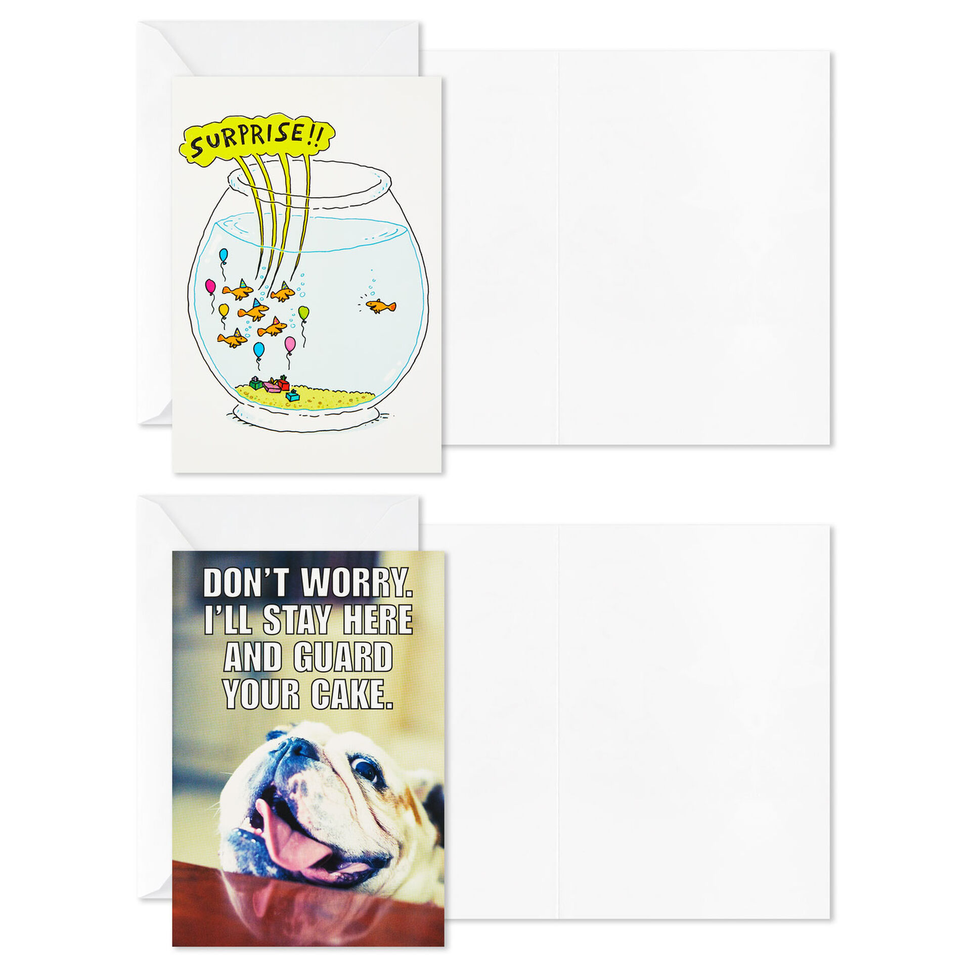 Funny-Assorted-Boxed-Blank-Birthday-Cards_5STZ1069_03