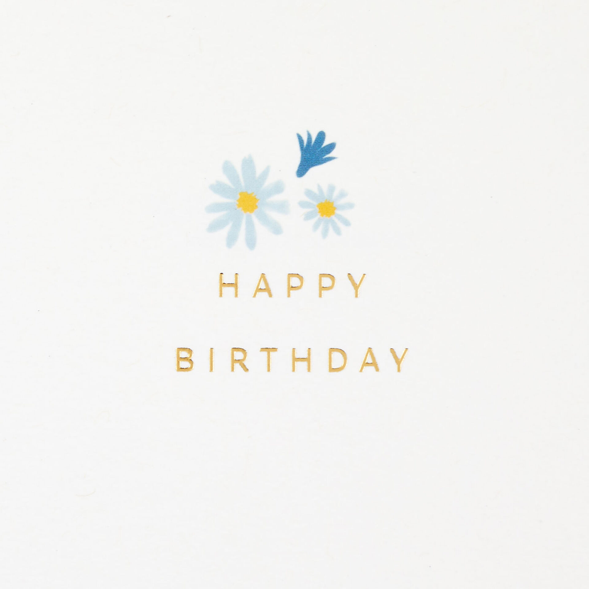 Good-Things-Ahead-Flowers-on-Black-Birthday-Card_599LAD9841_02