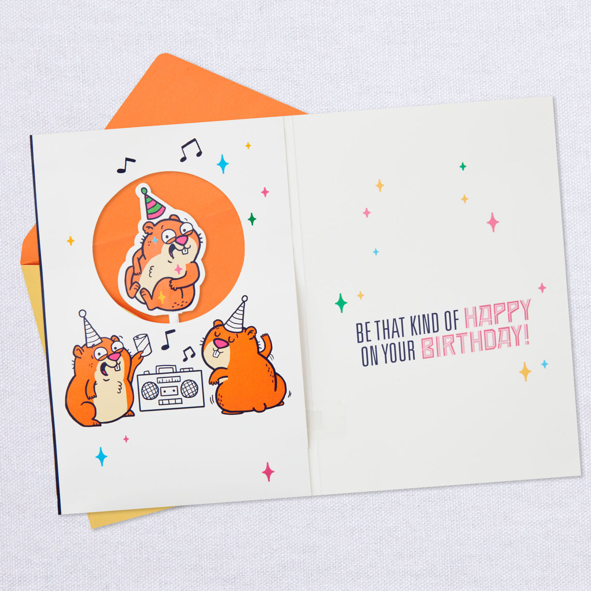 Happy-Hamster-Funny-Birthday-Card-With-Music-&-Motion_959ARH1416_03
