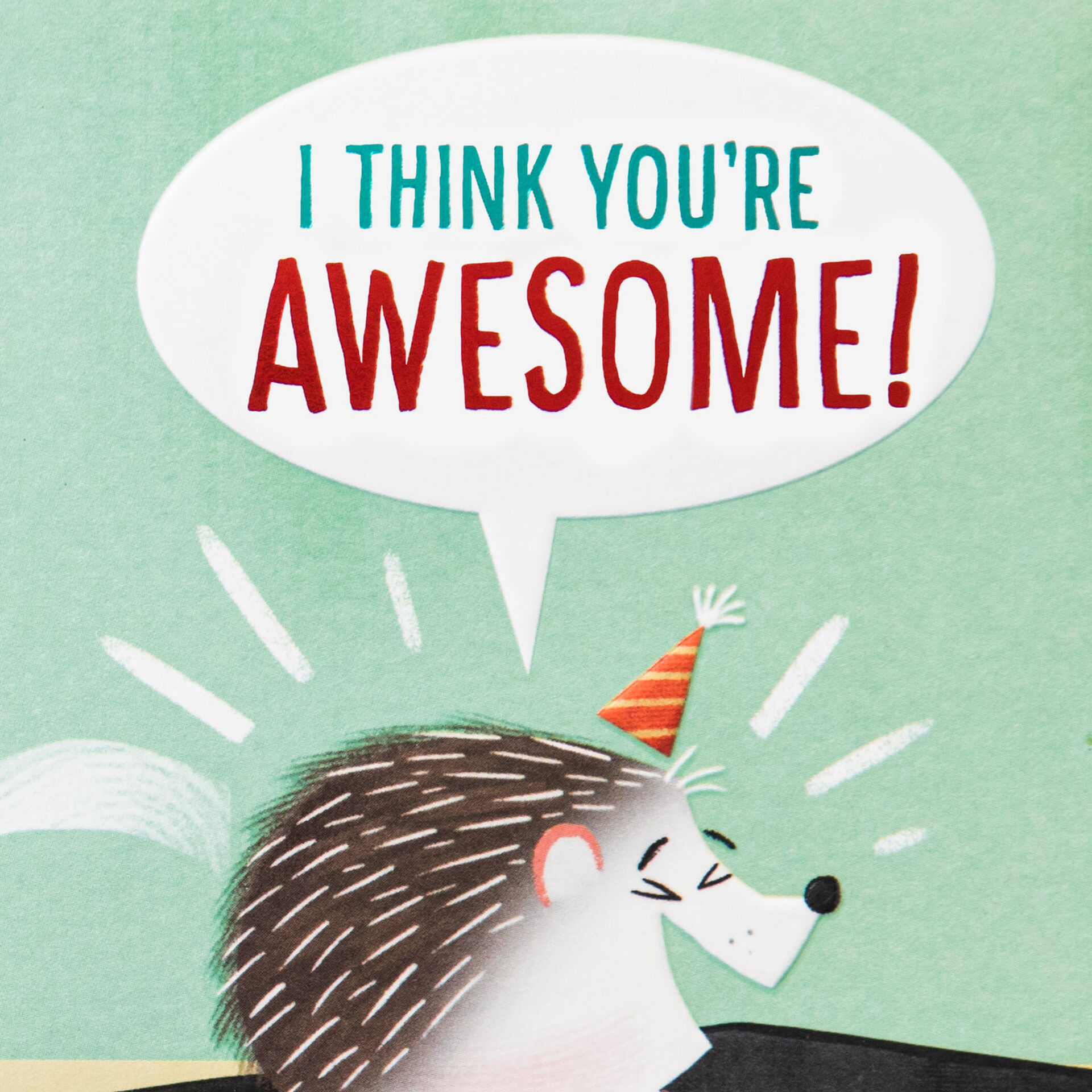 Hedgehog-on-Phone-Funny-Birthday-Card_399HBD4576_02