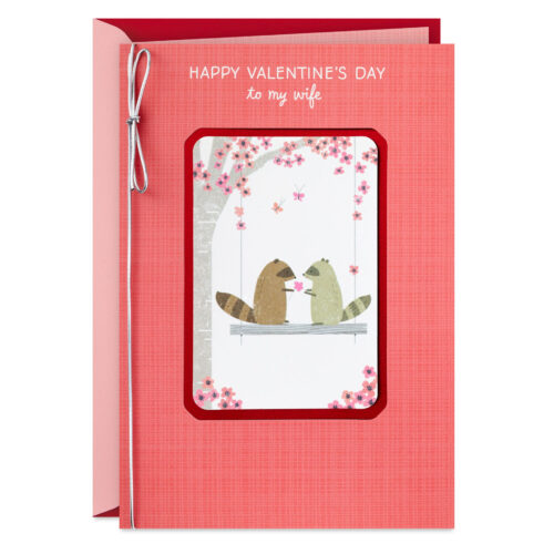 I-Love-You-Cute-Raccoons-Wife-Valentines-Day-Card_699VEE8727_01