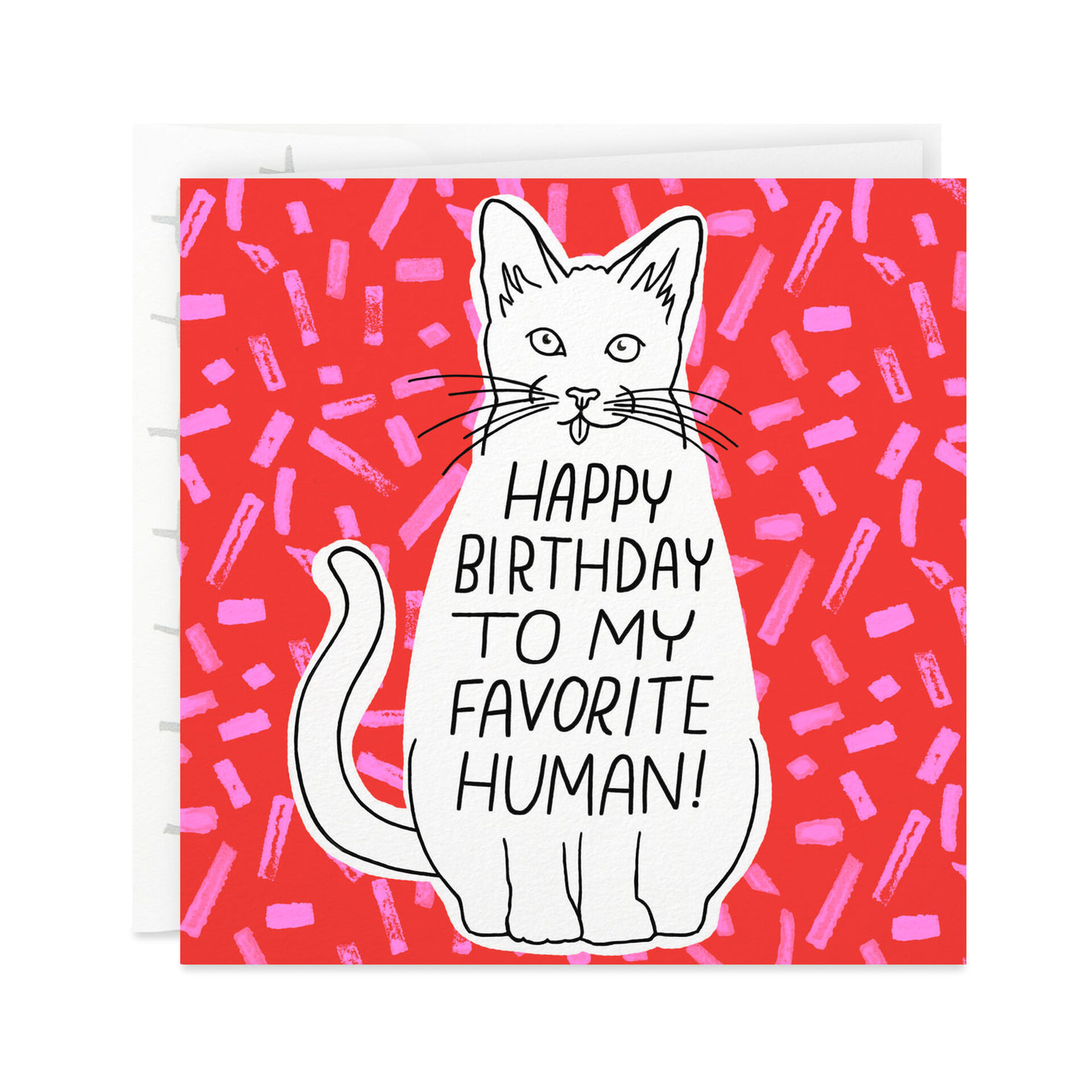 Illustrated-Kitty-Birthday-Card-From-the-Cat_359YYB1179_01