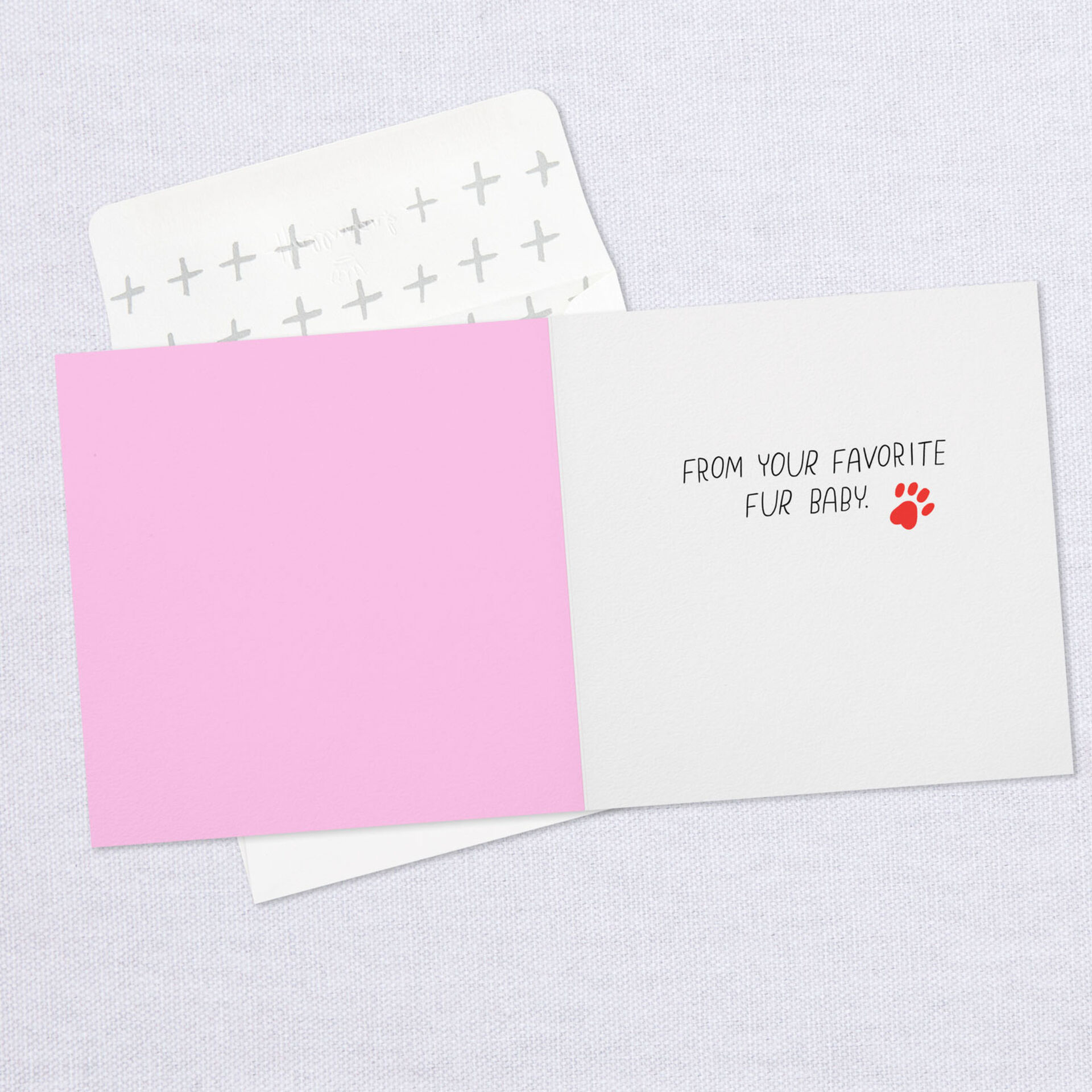 Illustrated-Kitty-Birthday-Card-From-the-Cat_359YYB1179_03