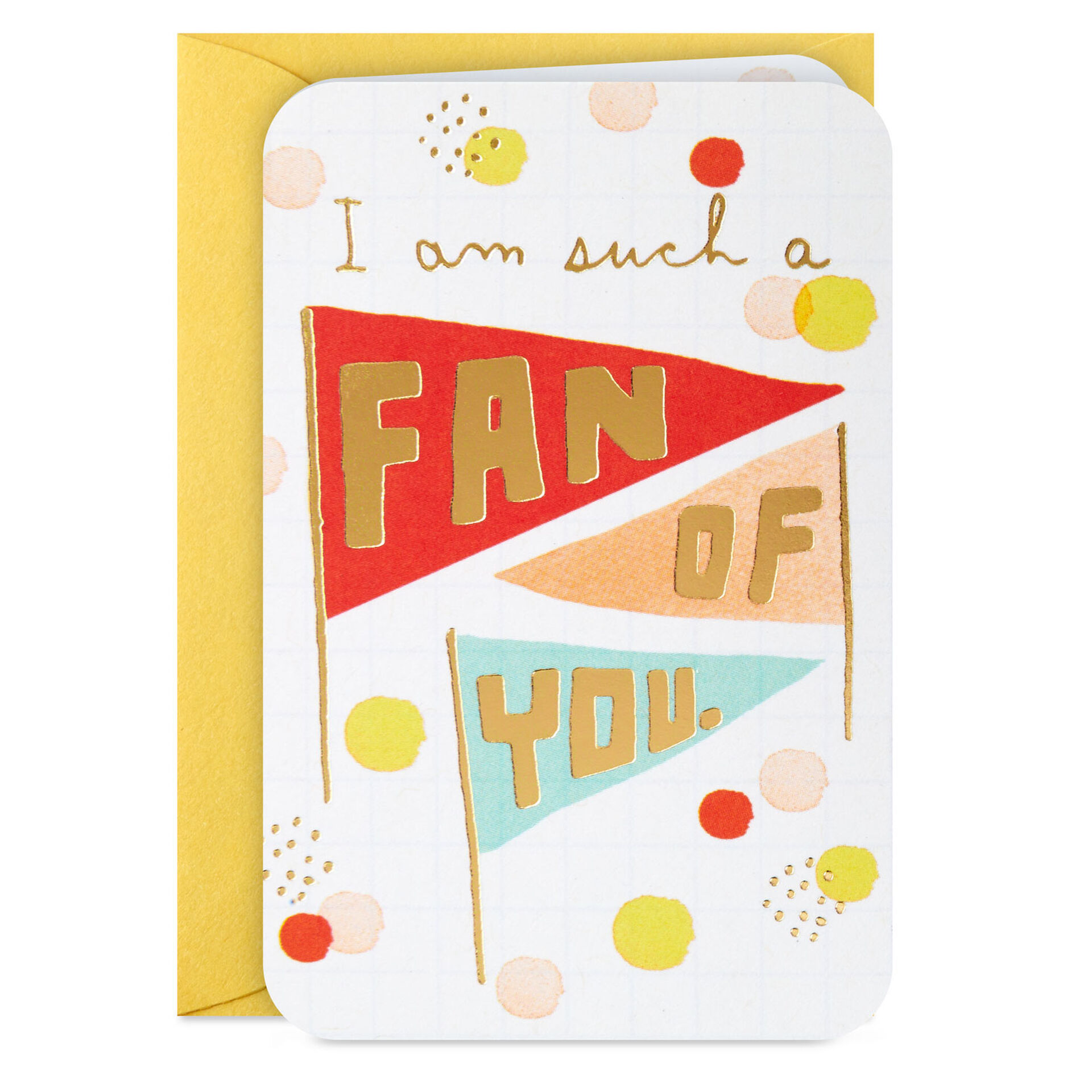 Im-a-Fan-of-You-Flag-Pennants-Mini-Blank-Card_199LJB1816_02