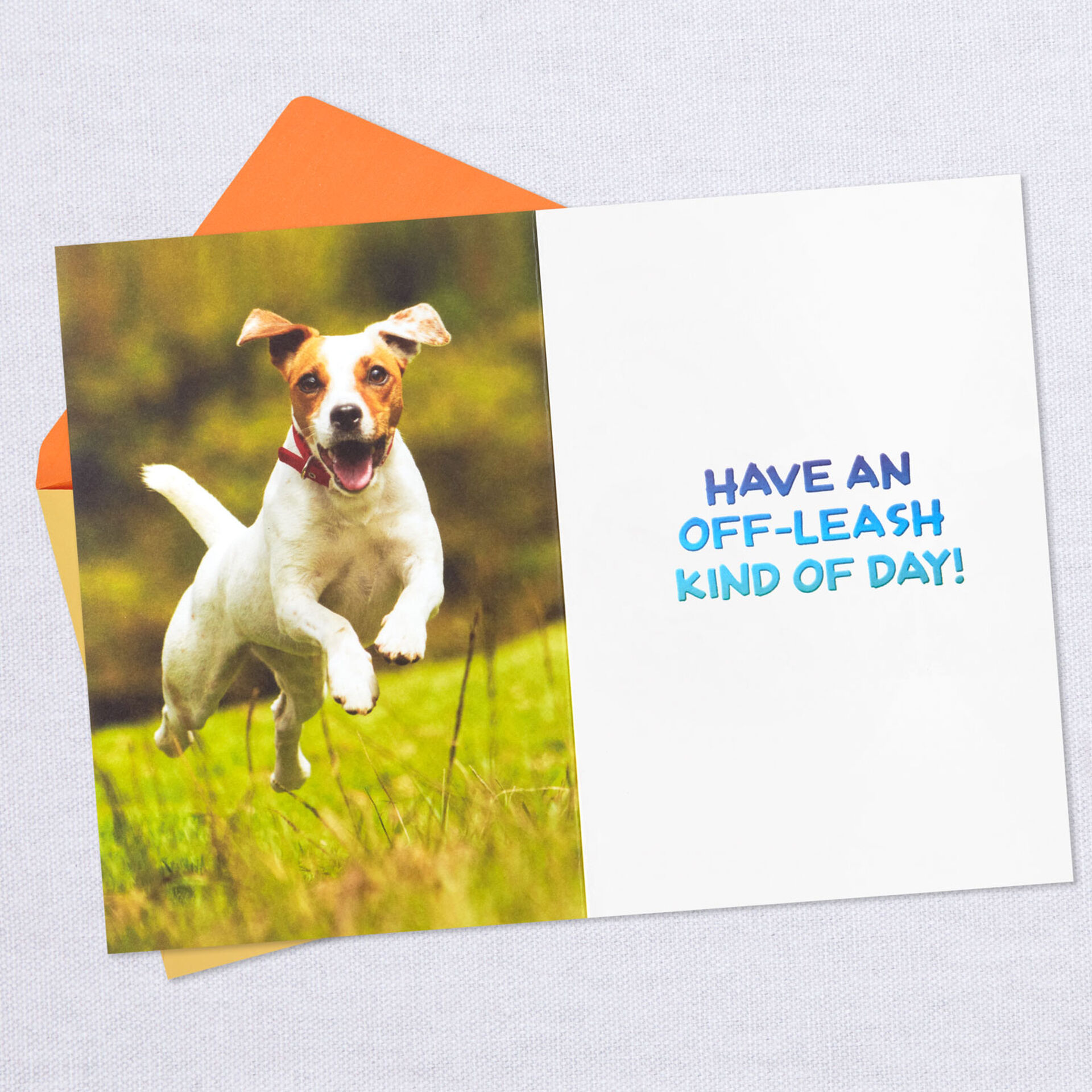 Jumping-Dog-Funny-Birthday-Card-for-Someone-Like-a-Son_399MAN3853_03