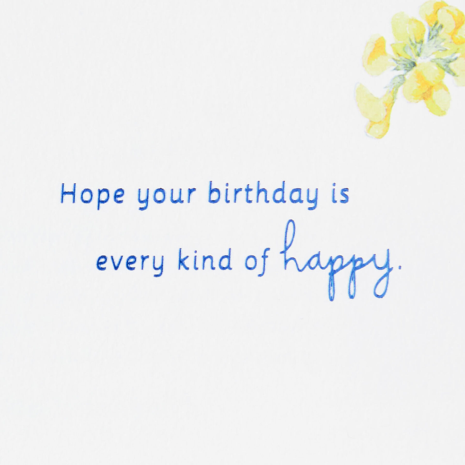 Marjolein-Bastin-Happy-Birthday-Card_499MB8016_02