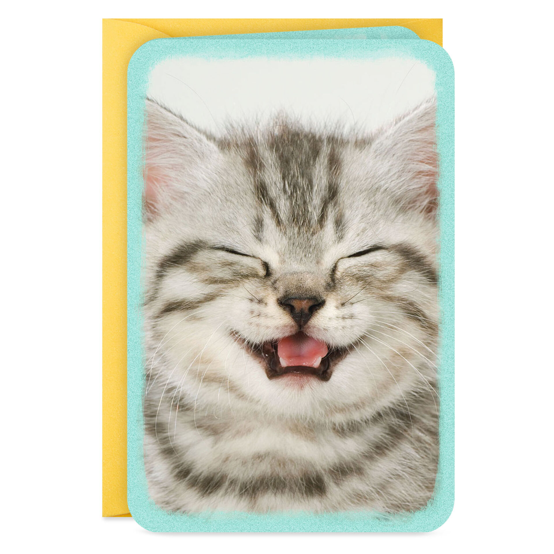 Mini-Adorable-Kitten-Blank-Card_199LJB1315_02