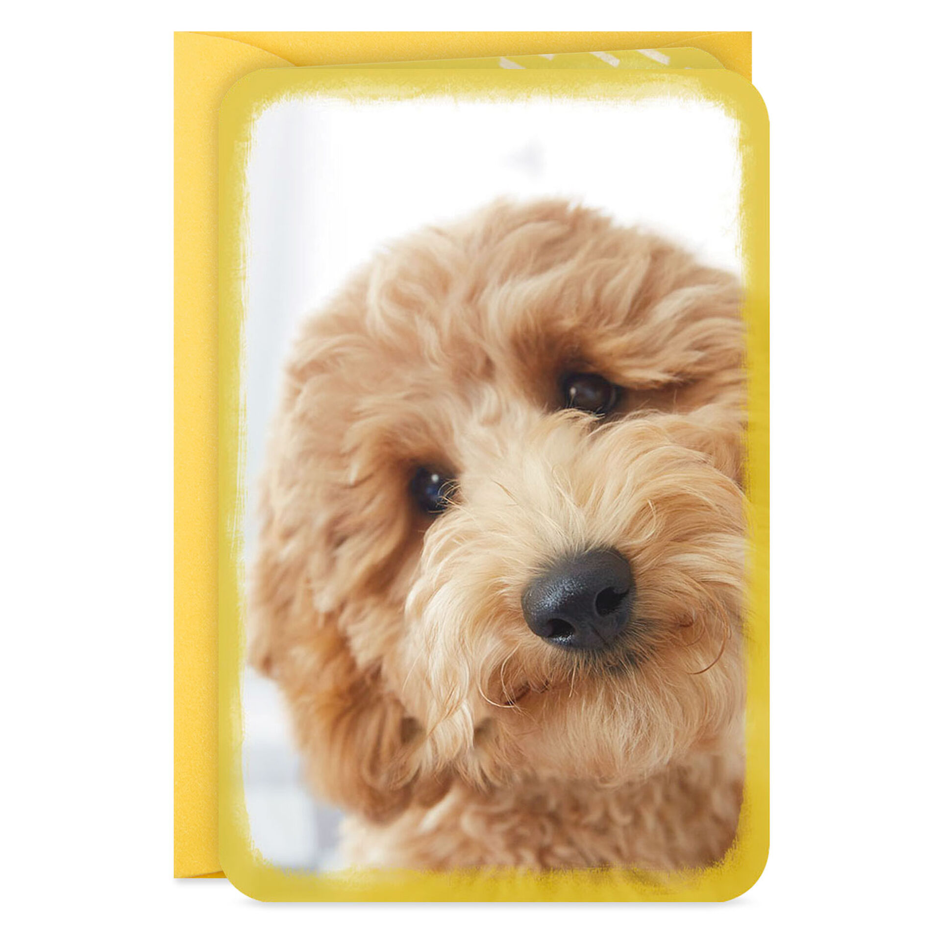 Mini-Fluffy-Puppy-Dog-Blank-Card_199LJB1314_02