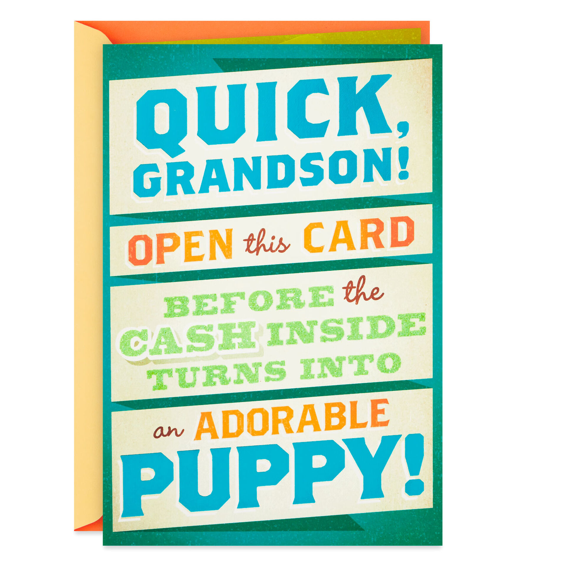 Money-or-Puppy-PopUp-Birthday-Card-Grandson_459MAN3950_01