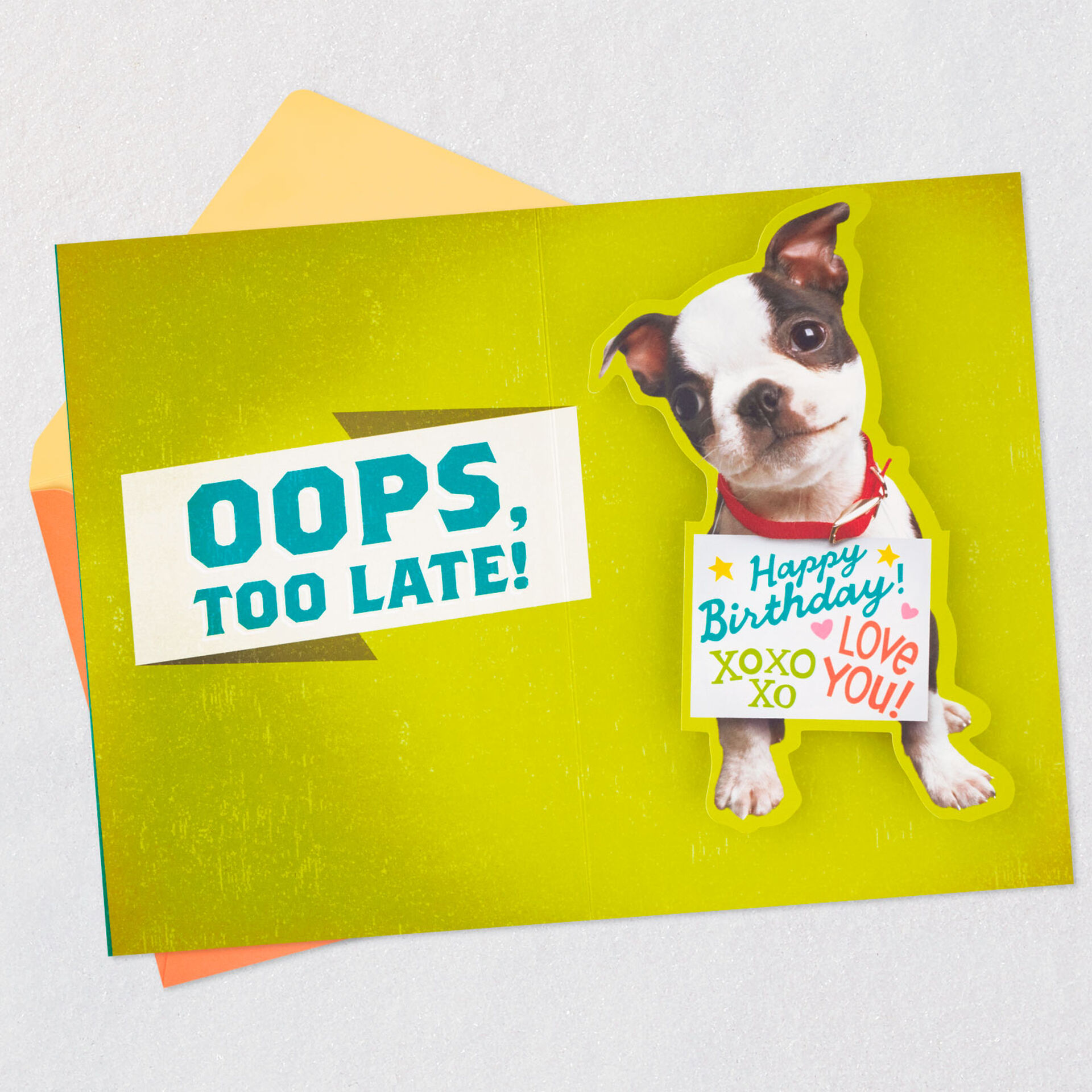 Money-or-Puppy-PopUp-Birthday-Card-Grandson_459MAN3950_04