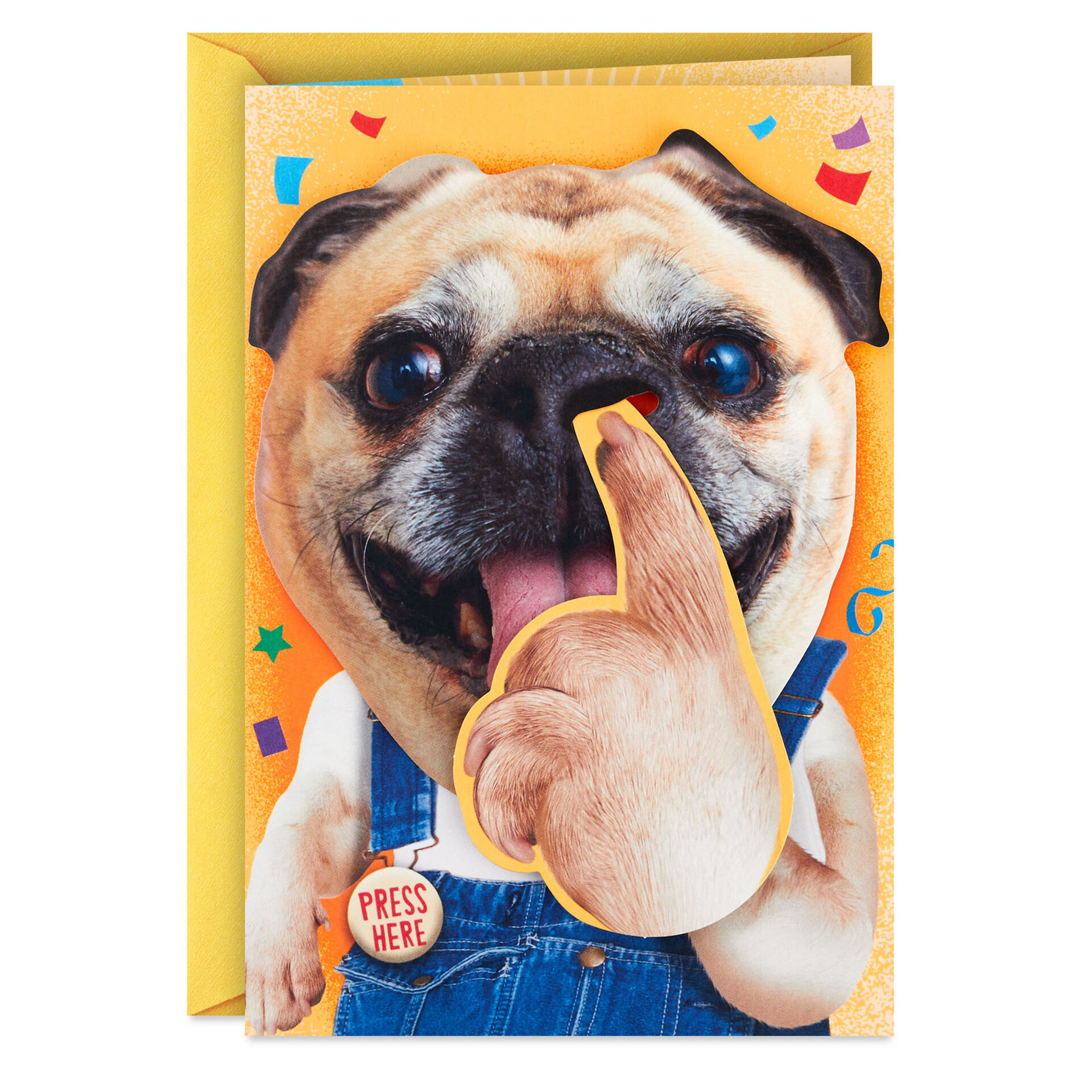 NosePicking-Pug-Funny-Musical-and-Motion-Birthday-Card_959ARH1597_01