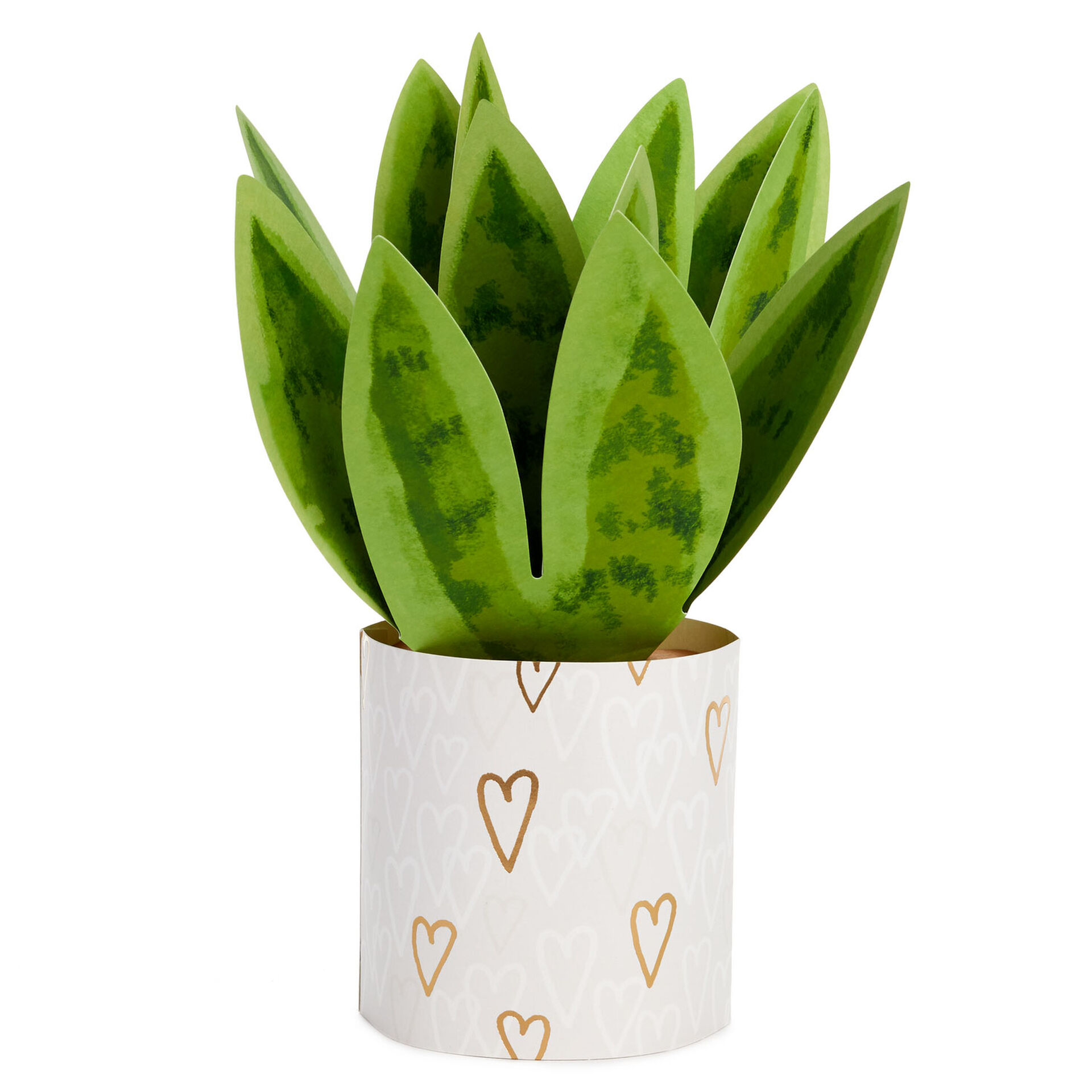 Paper-Snake-Plant-3D-PopUp-Valentines-Day-Card_799VWF8957_02
