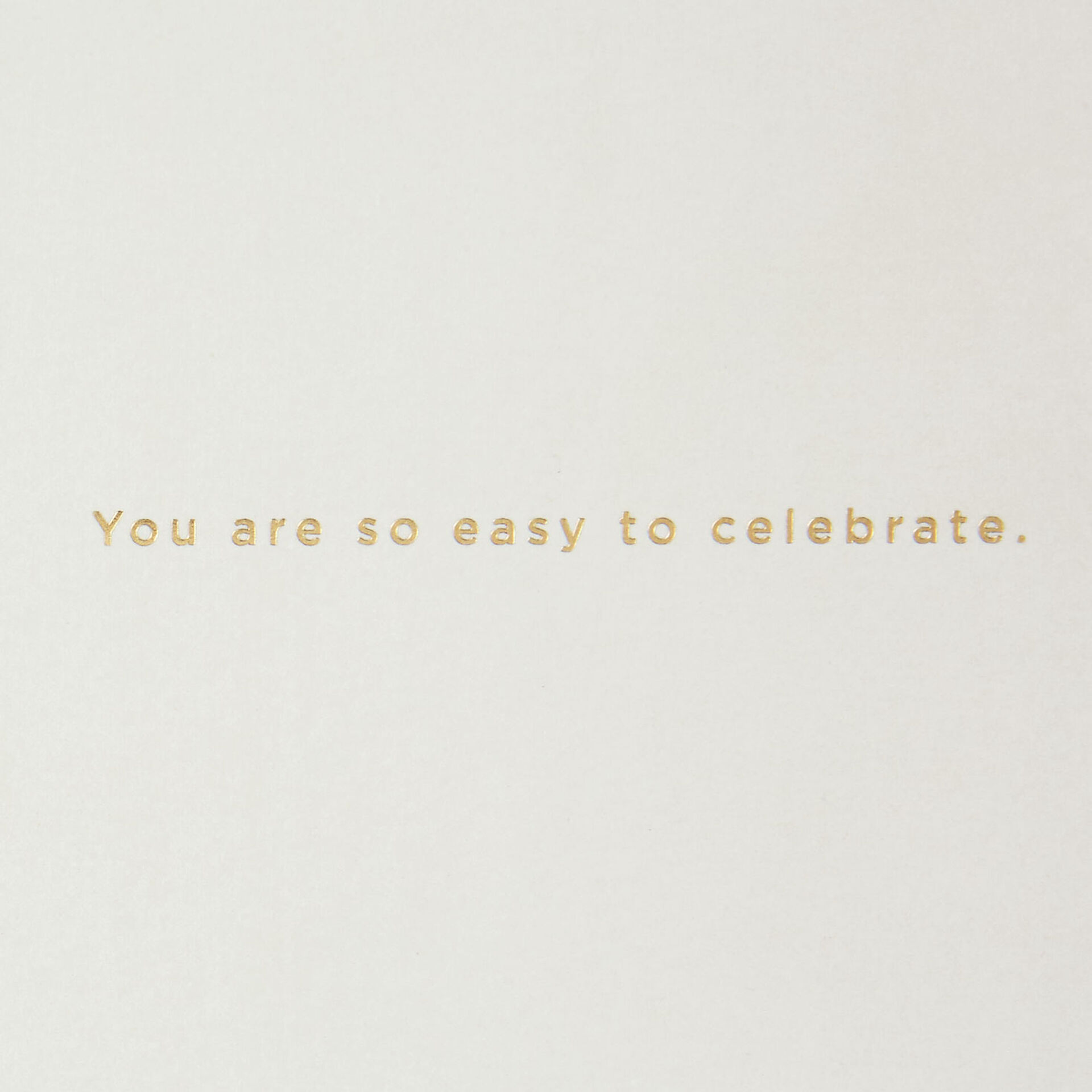 Party-Banners-and-Treats-Birthday-Card_799LAD9131_02