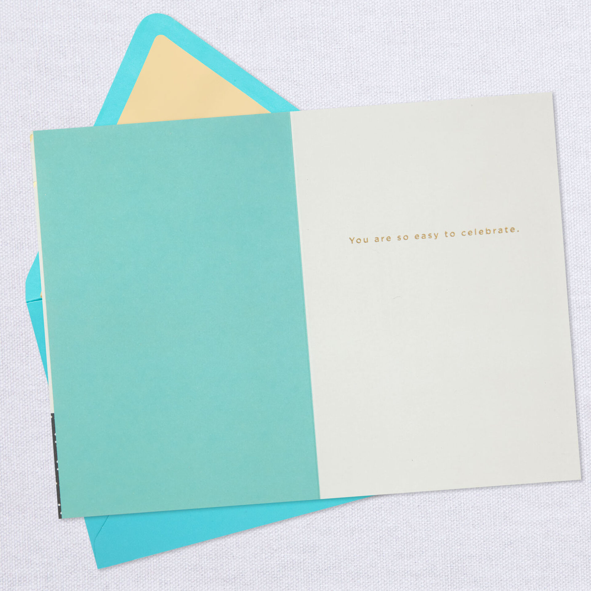 Party-Banners-and-Treats-Birthday-Card_799LAD9131_03