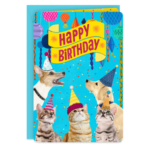 Party-Cats-Dogs-Birthday-Card-From-Us_1299CBG3004_01