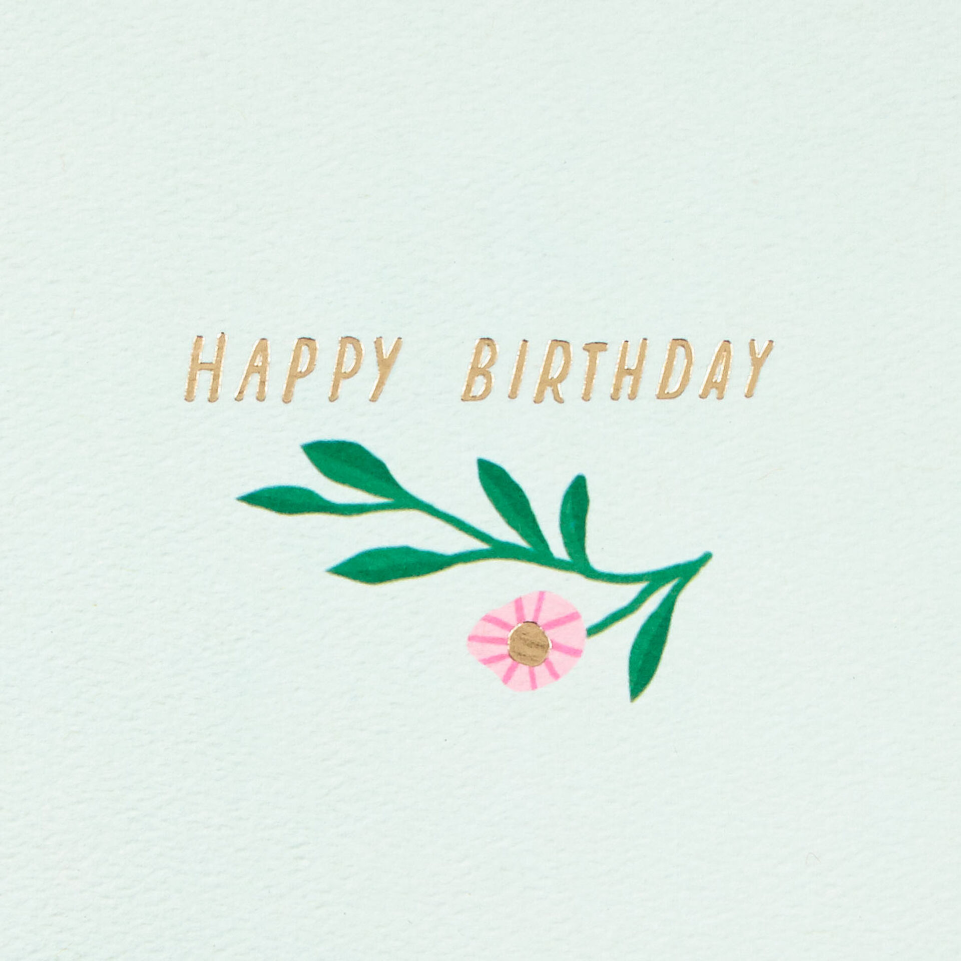 Potted-Plants-and-Flowers-Birthday-Card_499HRD3027_02