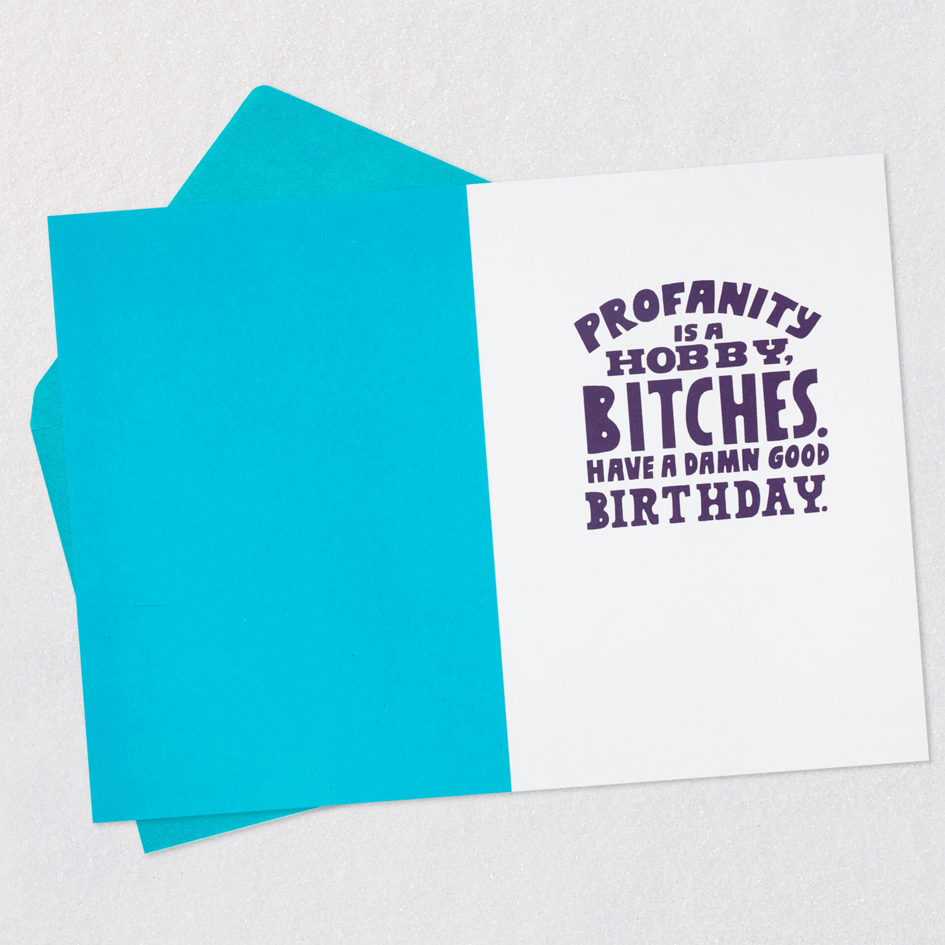 Profanity-Is-a-Hobby-Bitches-Funny-Birthday-Card_349ZZB9864_03