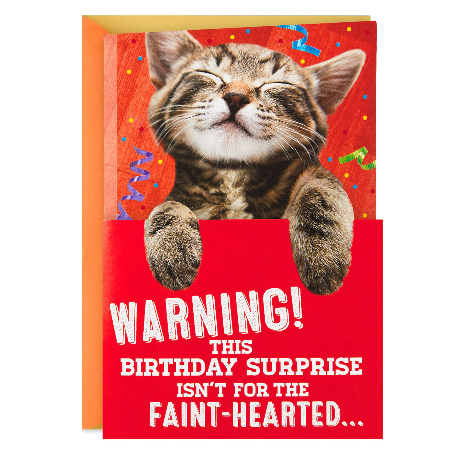 Purring-Kitten-Birthday-Card-With-Sound-and-Motion_959MNG1130_01
