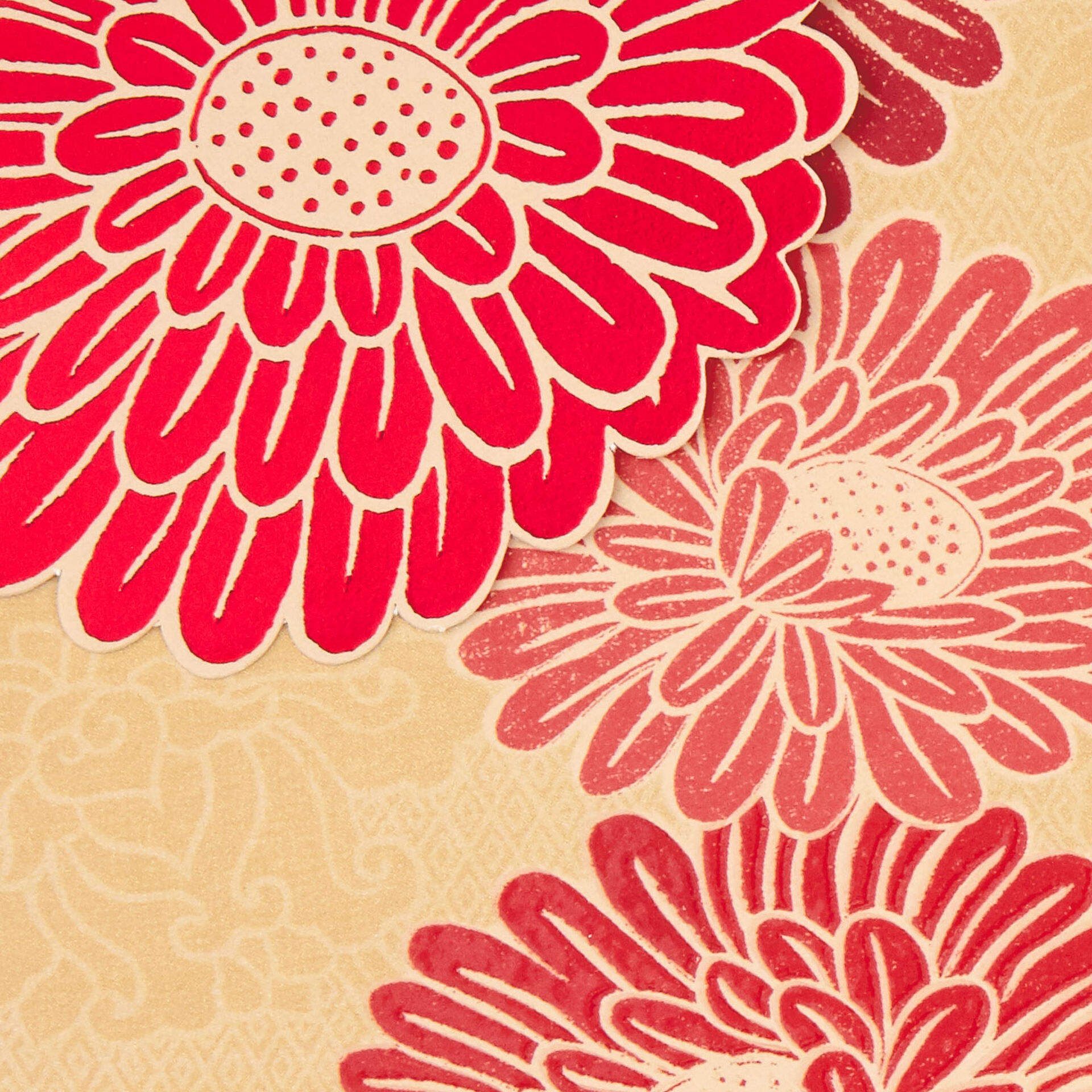 Red-Chrysanthemum-Flowers-Blank-Card_499SAY1017_03