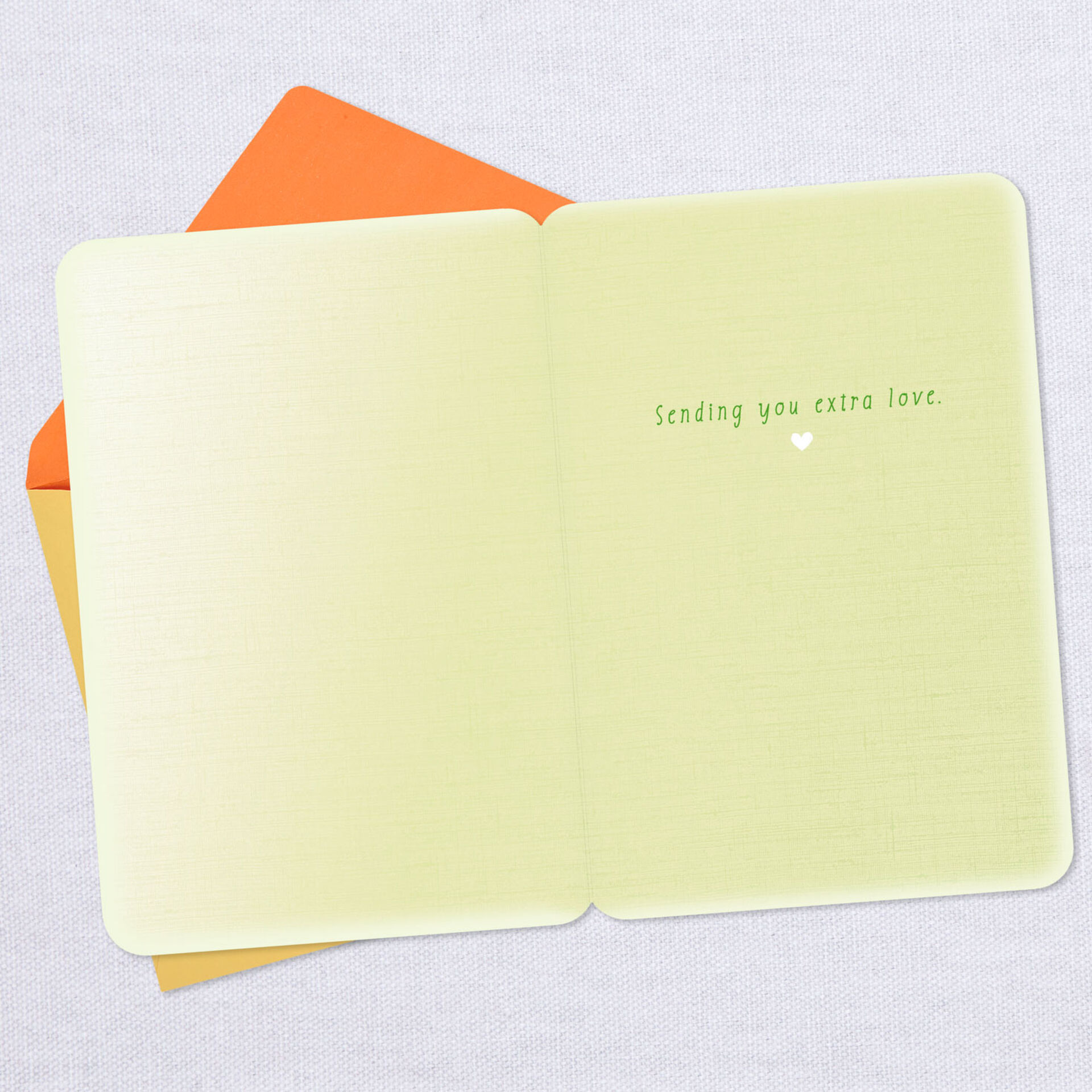 Sending-Extra-Love-Thinking-of-You-Card_299FCR1040_03