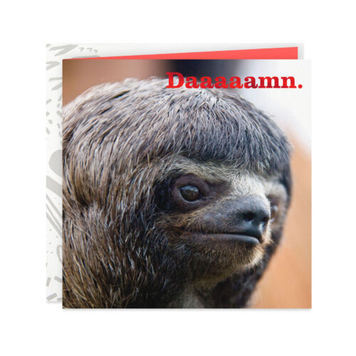 Sloth-Giving-Slow-Props-Funny-Thinking-of-You-Card_359YYB1214_01